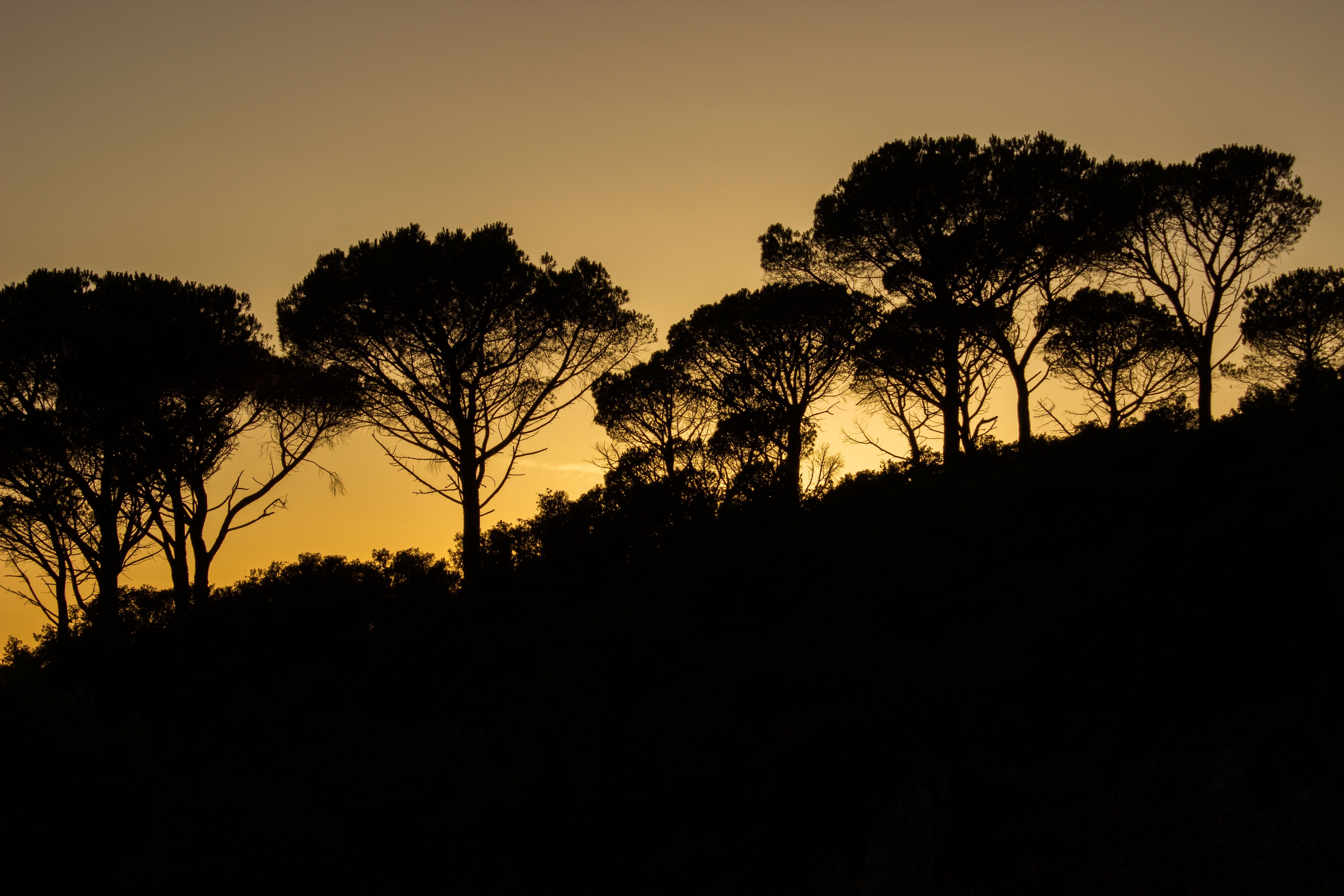 dark, silhouette, idyllic, landscape, abendstimmung, tranquil scene, transversely veto, scenics - nature, orange color, tranquility, light, non-urban scene, HD Wallpaper