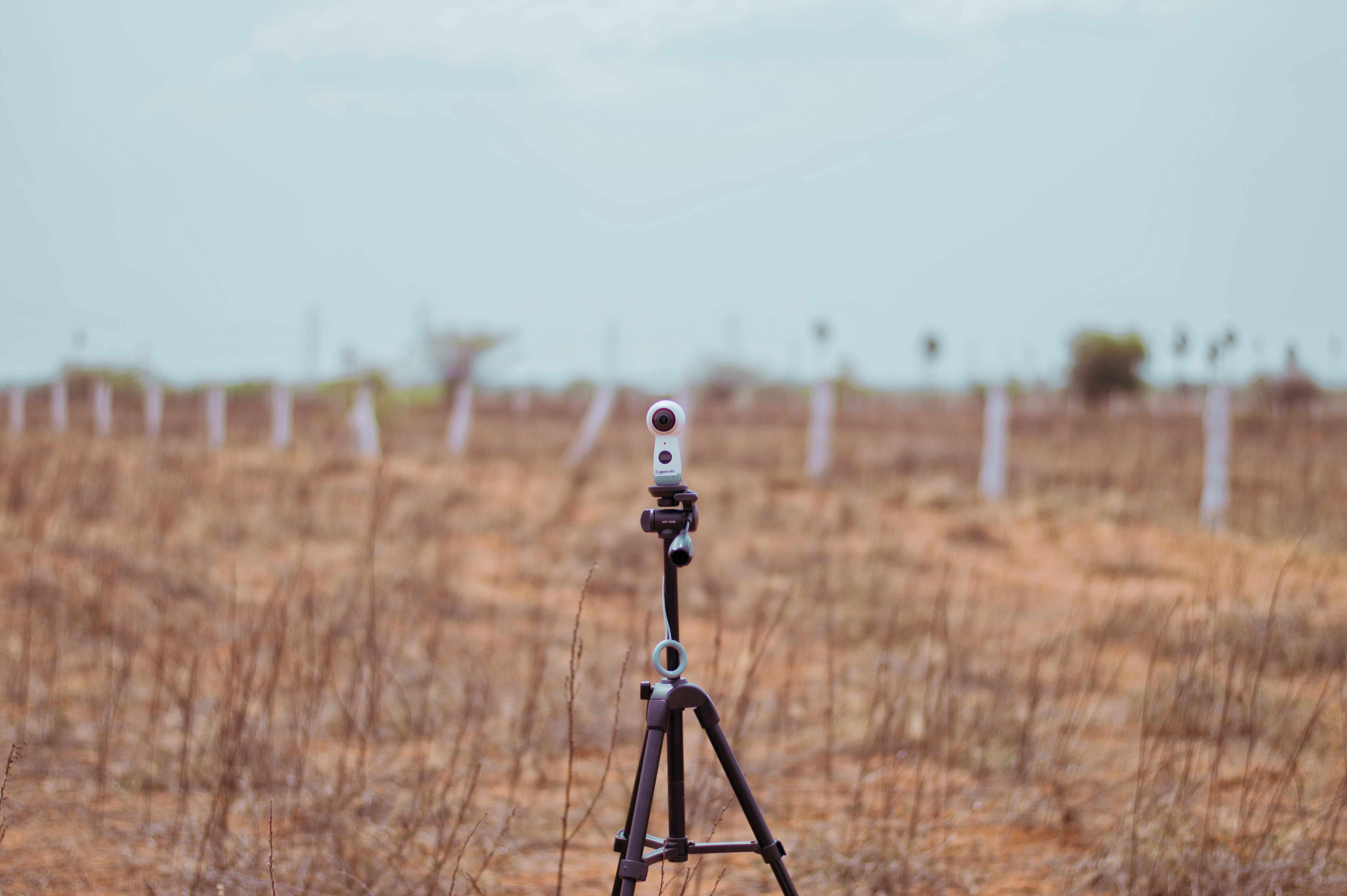 plant, tirunelveli, scenics - nature, gear 360, virtual reality, land, sky, metal, selective focus, focus on foreground, traveler, 360 camera, field, landscape, HD Wallpaper