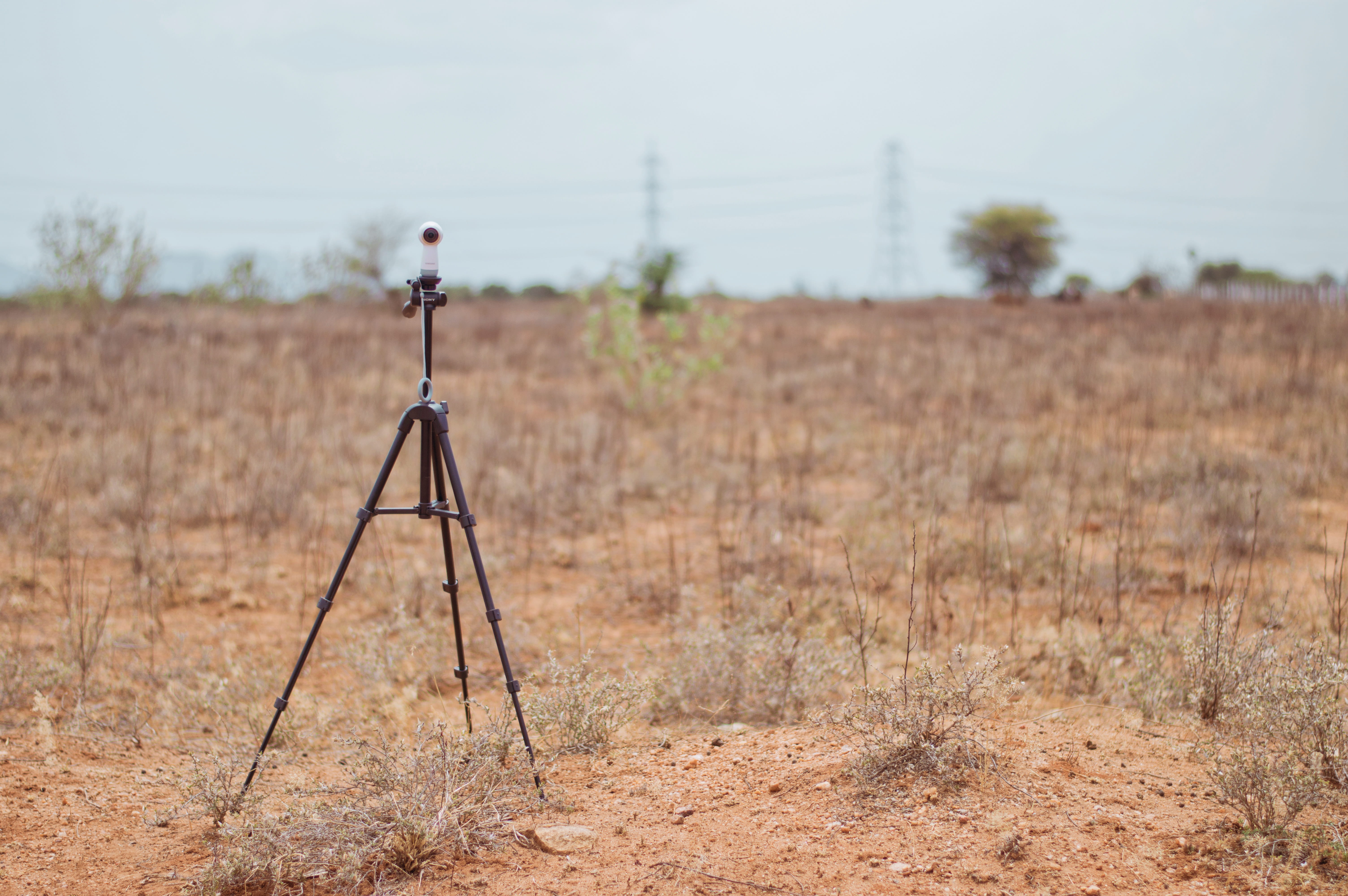 land, camera, tirunelveli, field, india, photograpy, digital camera, tripod, day, camera - photographic equipment, gear, 360 cam, forest, photographic equipment, HD Wallpaper