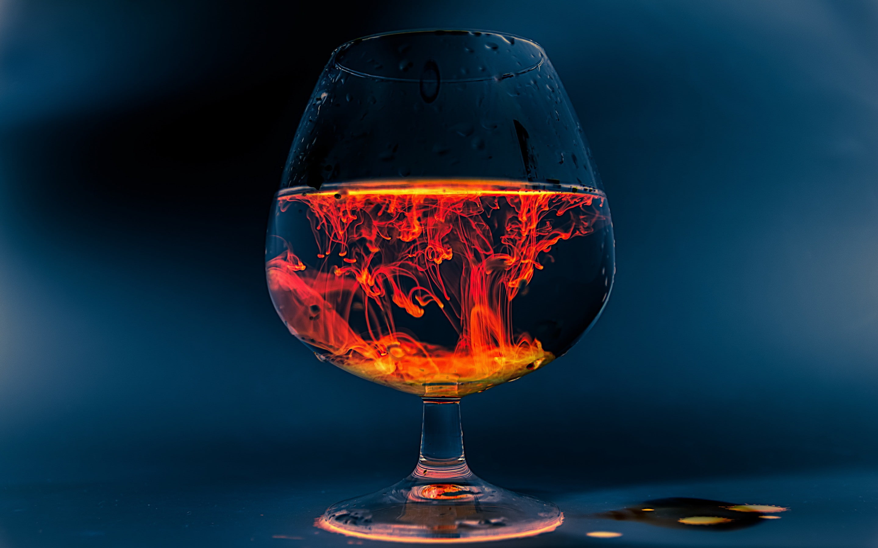 background, close-up, cognac, glass, 2K, close, HD Wallpaper