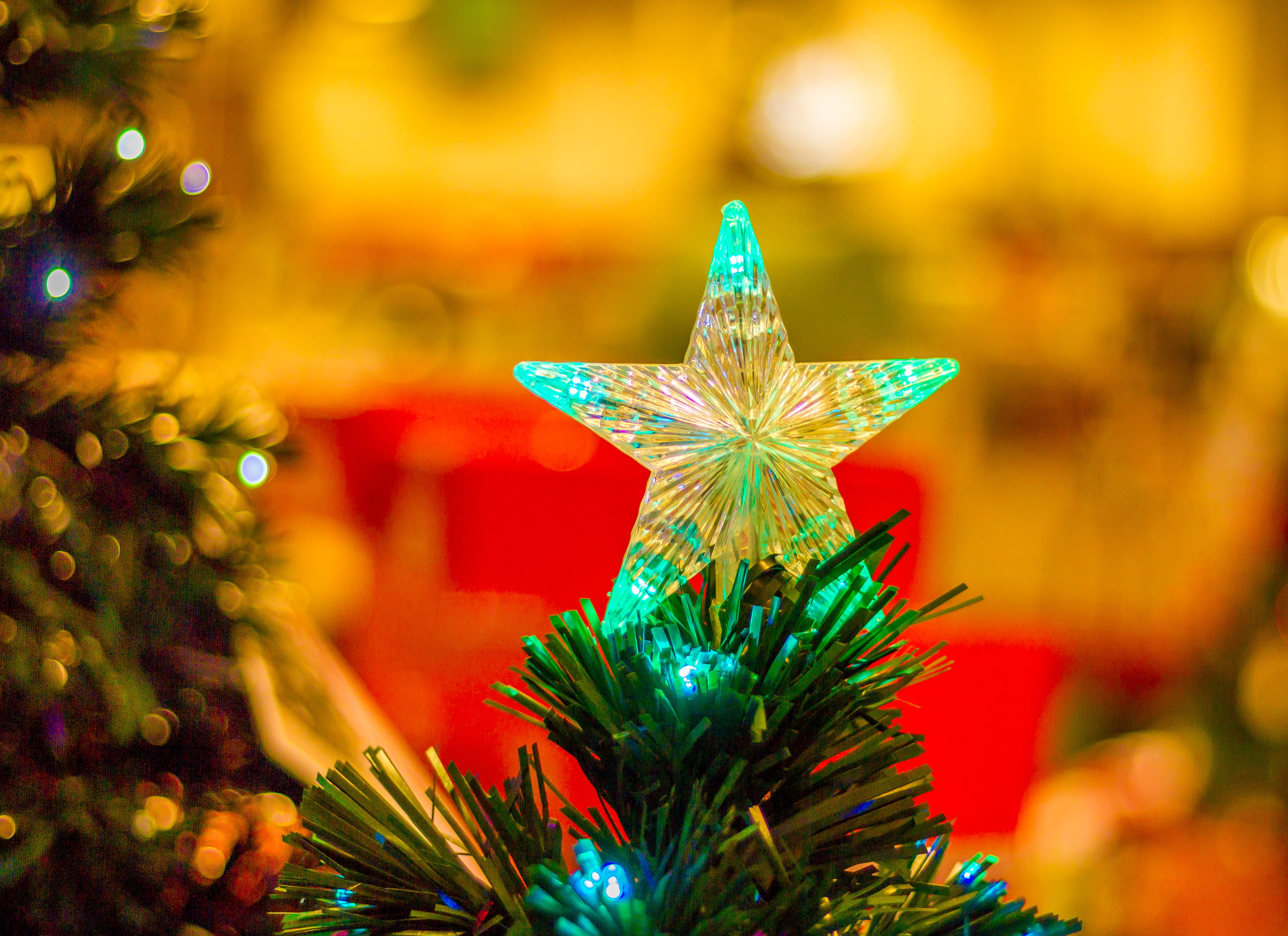 focus on foreground, christmas, star of david, celebration, jesus, close-up, tree, plant, united kingdom, christmas ornament, london, no people, selective focus, HD Wallpaper