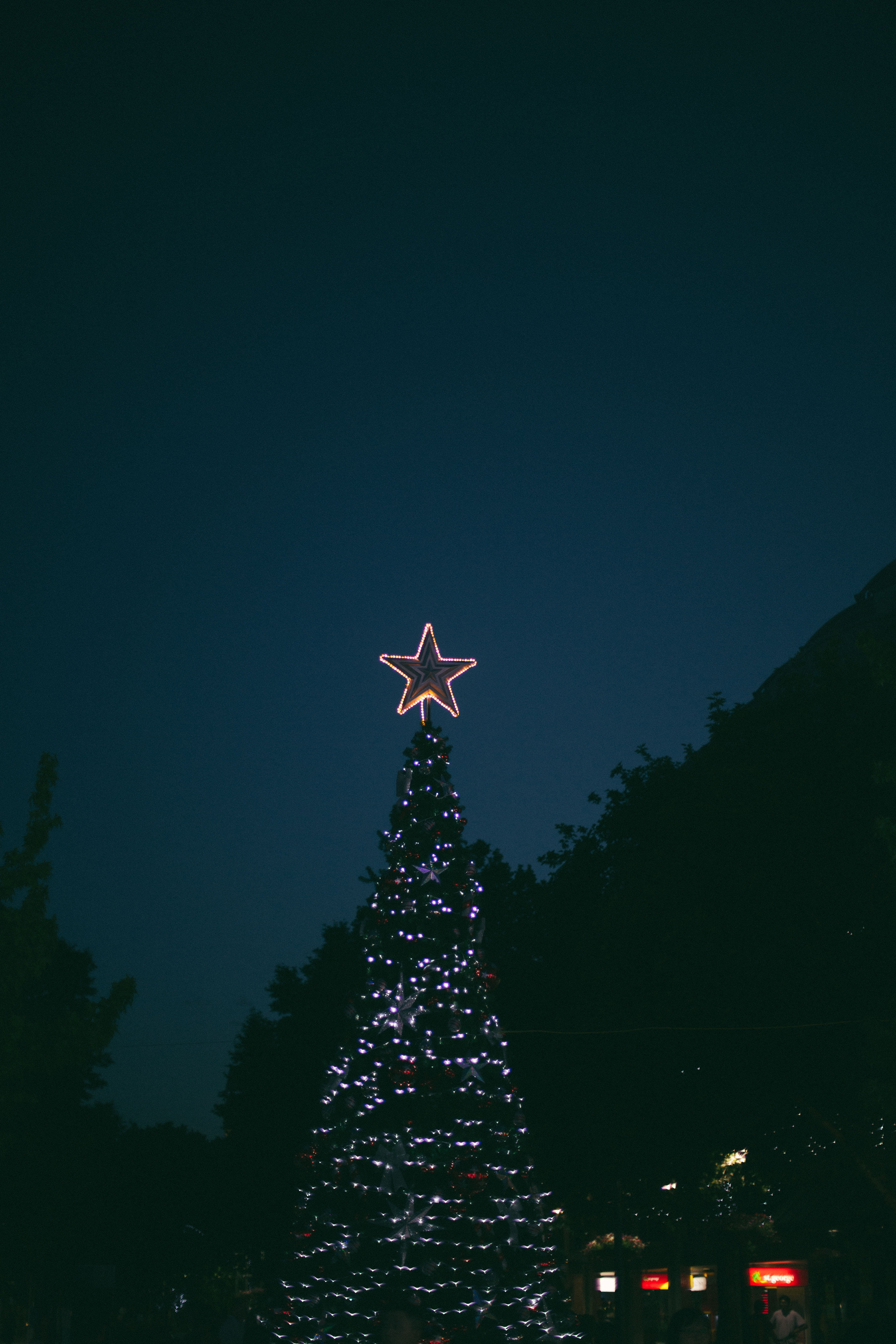 nature, celebration, illuminated, holiday - event, night, christmas, turned, christmas Tree, light, photography, christmas decoration, christmas ornament, Phone HD Wallpaper
