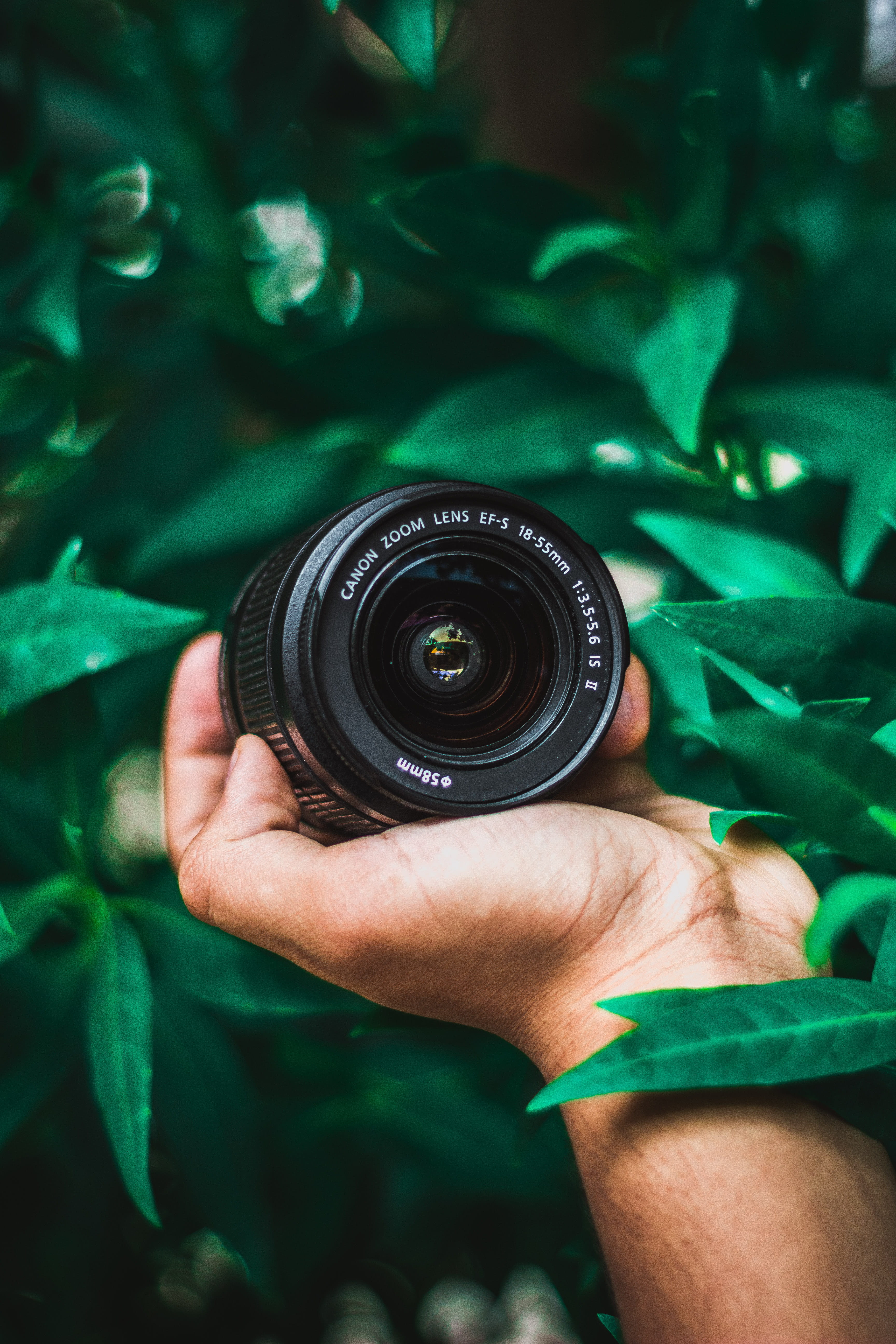 green color, hand, lens, telephoto, activity, lens - optical instrument, person, personal perspective, focus, day, unrecognizable person, real people, photographer, Phone HD Wallpaper