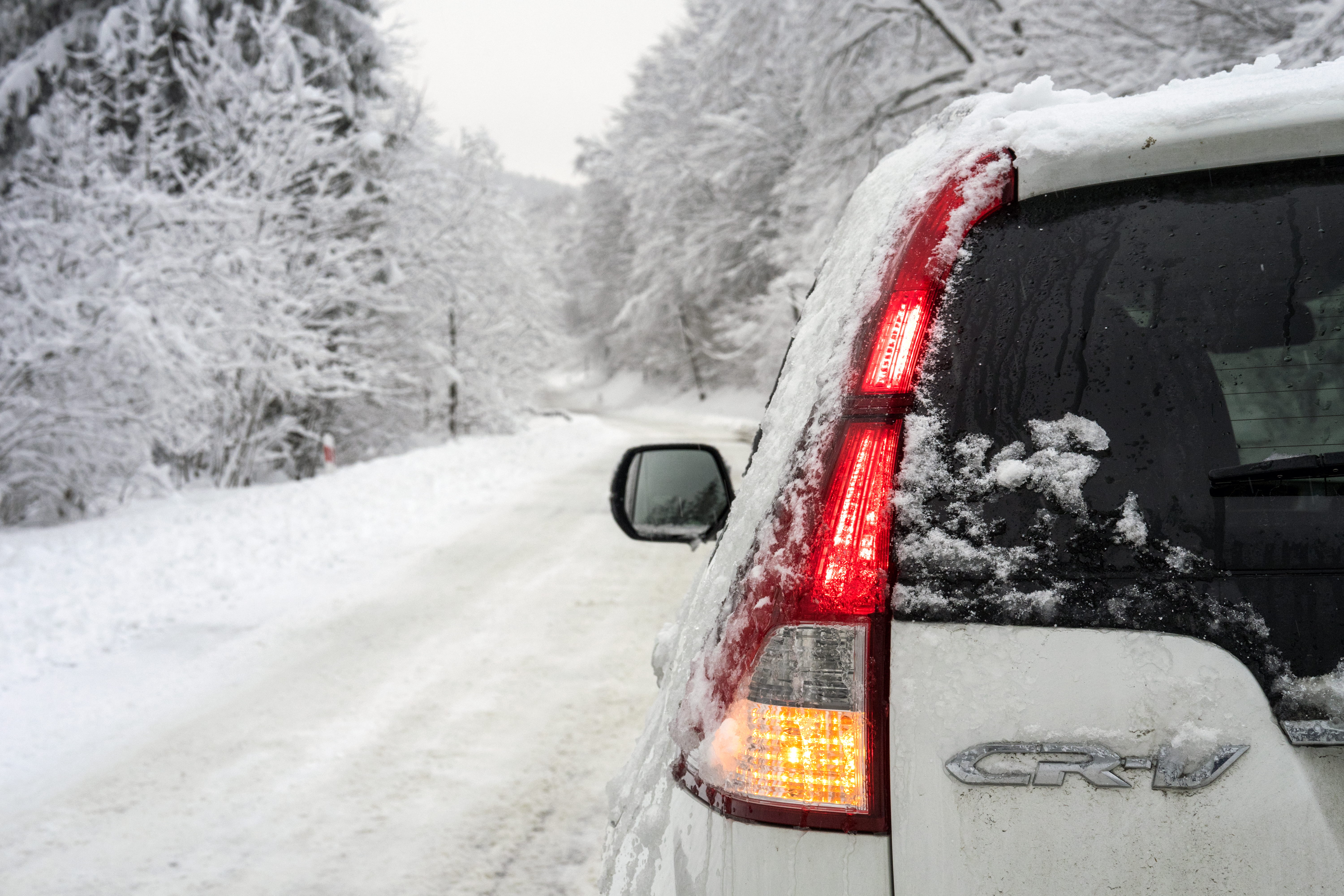 road, blizzard, cr-v, outdoors, no people, snowing, nature, tree, glass - material, white color, 5K, snow, cold temperature, extreme weather, land vehicle, HD Wallpaper