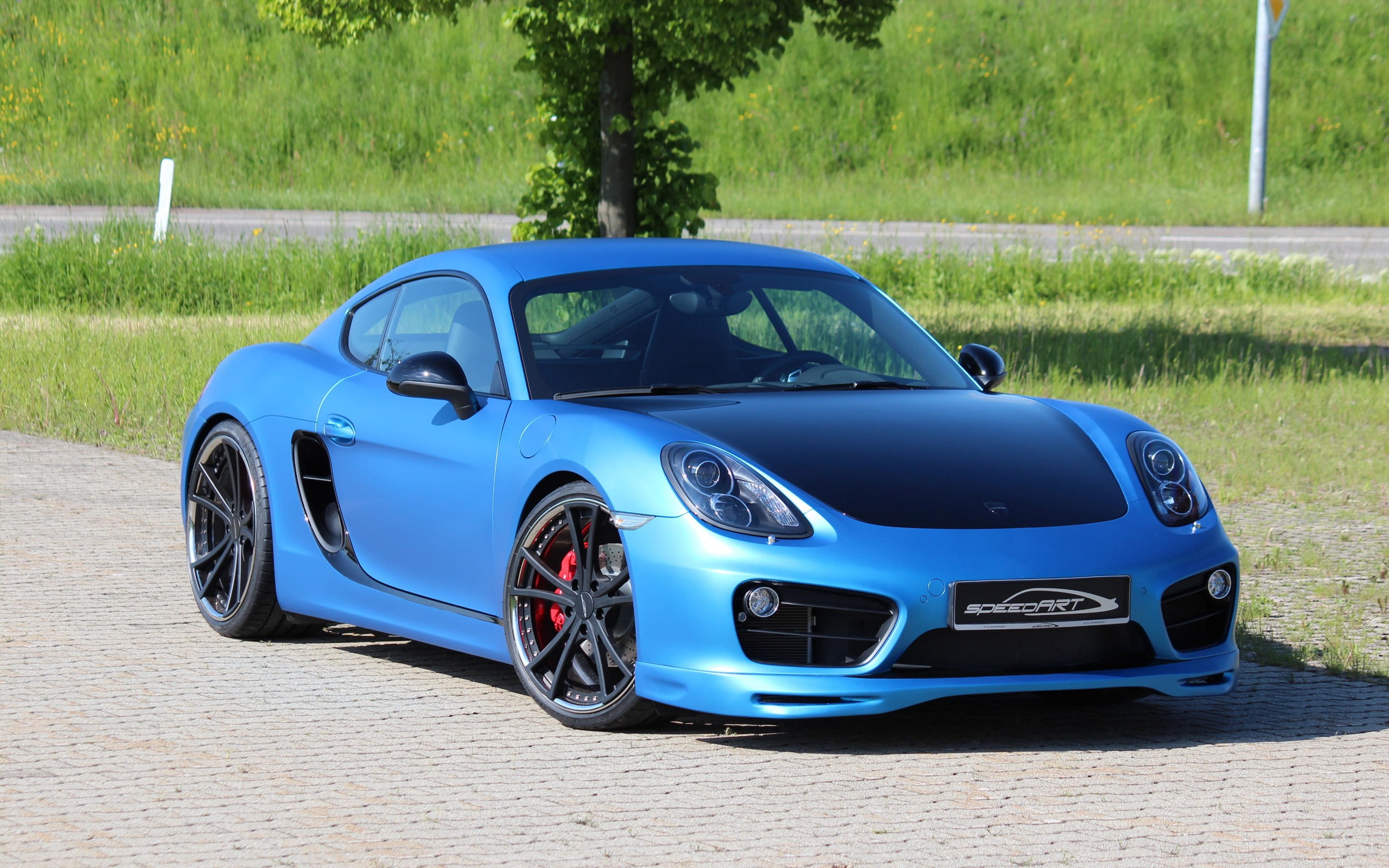 design, new, porsche cayman, green color, supercar, motor Vehicle, red, tree, engine, porsche, car, wheel, road trip, nature, mode of Transport, side View, HD Wallpaper