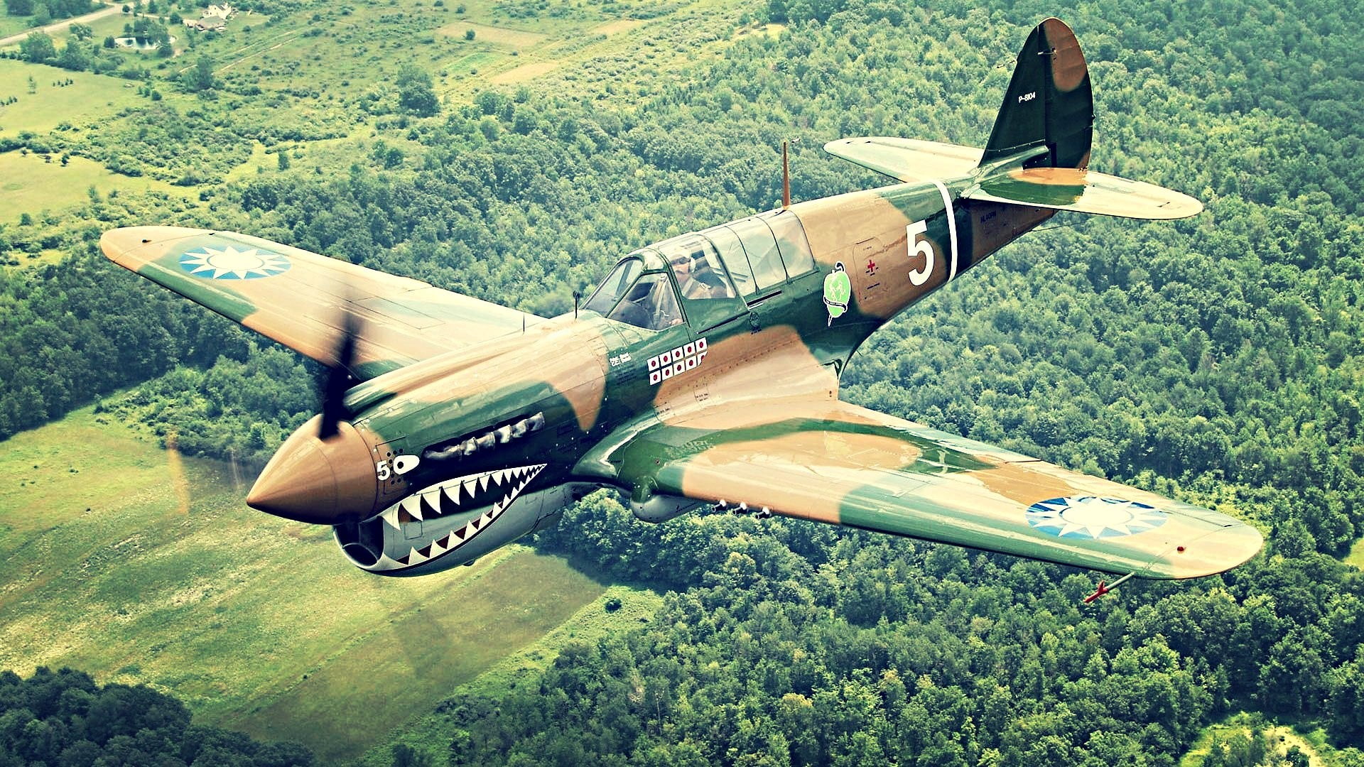 outdoors, nature, mid-air, air vehicle, sport, military, adventure, propeller, airplane, 1080P, vehicle, real people, Curtiss P-40 Warhawk, one person, HD Wallpaper