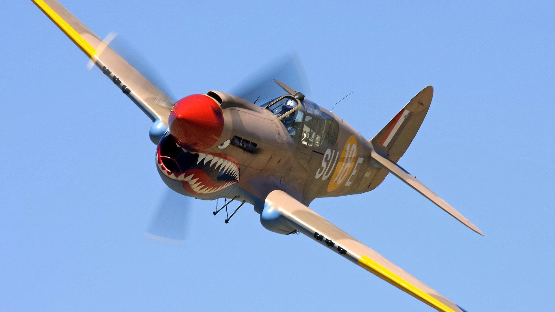 1080P, above, transportation, directly below, shark, flying, Military Aircrafts, Curtiss P-40 Warhawk, single object, motion, military, blue, brown, on the move, HD Wallpaper