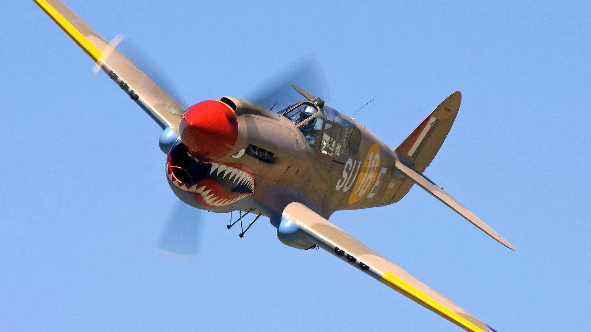 1080P, curtiss p 40 warhawk, HD Wallpaper