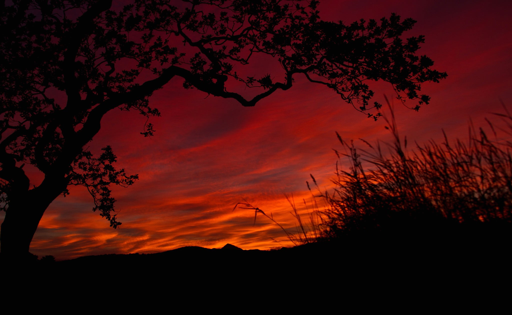 landscape, tranquil scene, tree, plant, 1080P, sky, non-urban scene, idyllic, silhouette, orange color, nature, outdoors, dramatic sky, awe, scenics - nature, HD Wallpaper