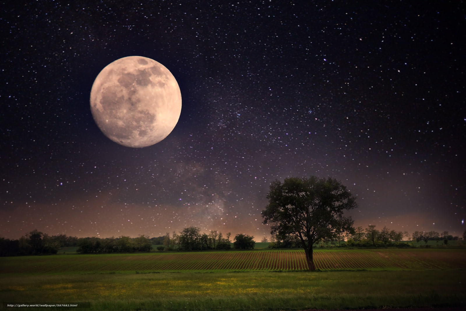 720P, natural light, field, landscape, Moon, night, HD Wallpaper