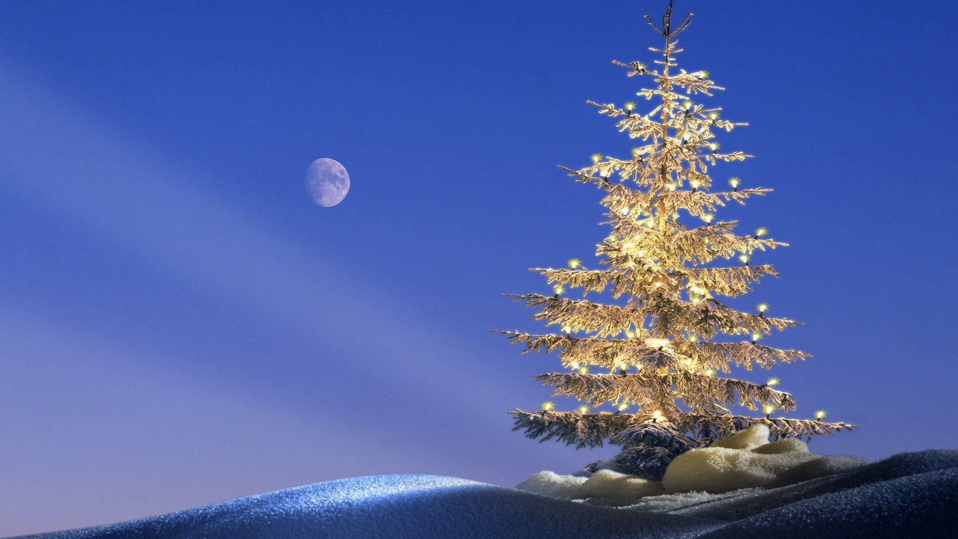 moon, 1080P, holidays, full, tree, light, merry christmas, 1920x1080, christmas, HD Wallpaper