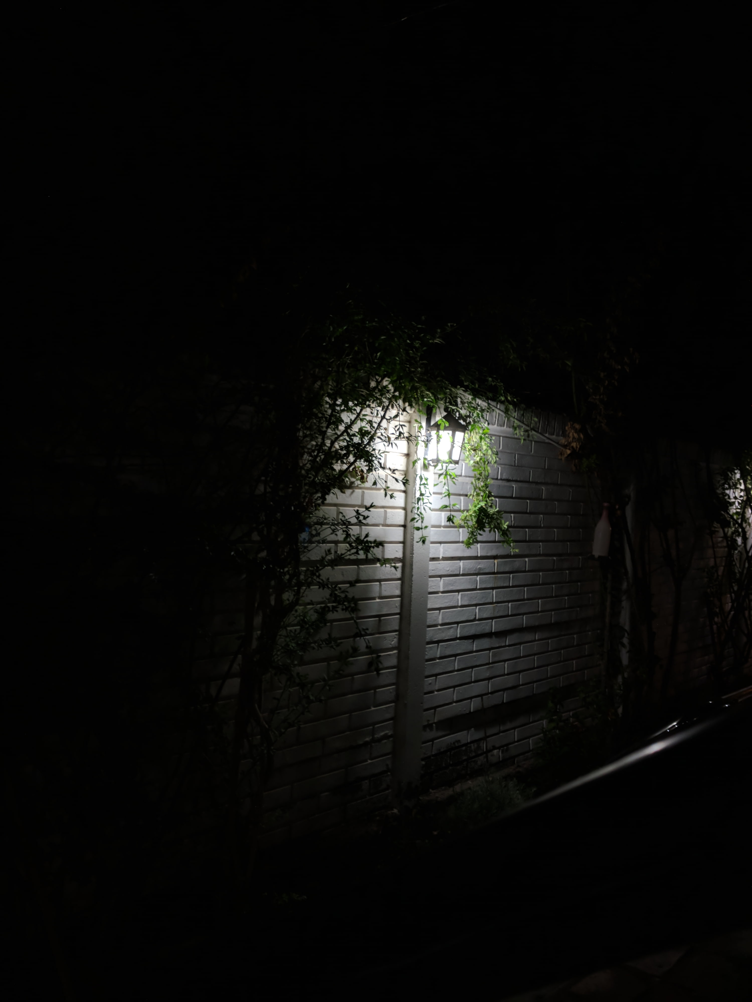 footpath, nature, architecture, built structure, light at the end of the tunnel, lamp, the way forward, copy space, 4K, building, building exterior, plant, Phone HD Wallpaper