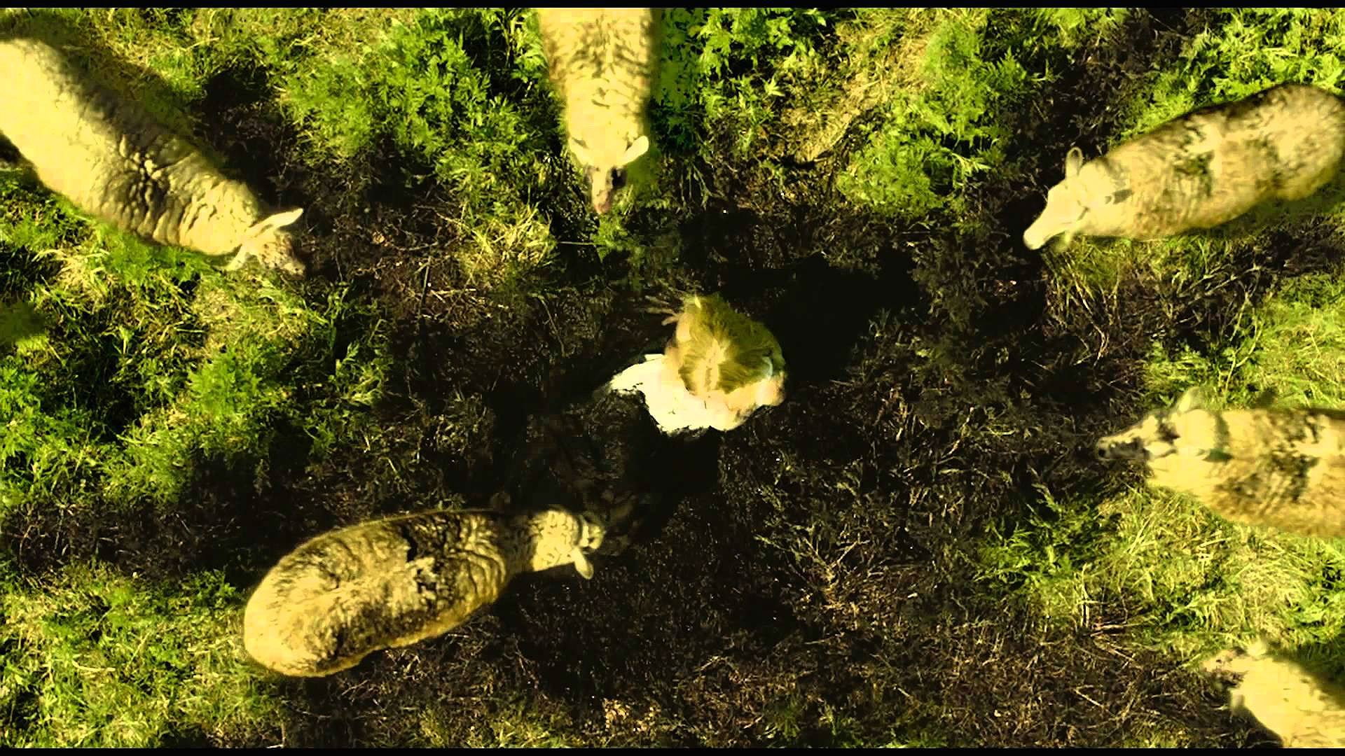 left, supernatural, horror, nothing-left-to-fear, fear, 1080P, nothing, dark, HD Wallpaper