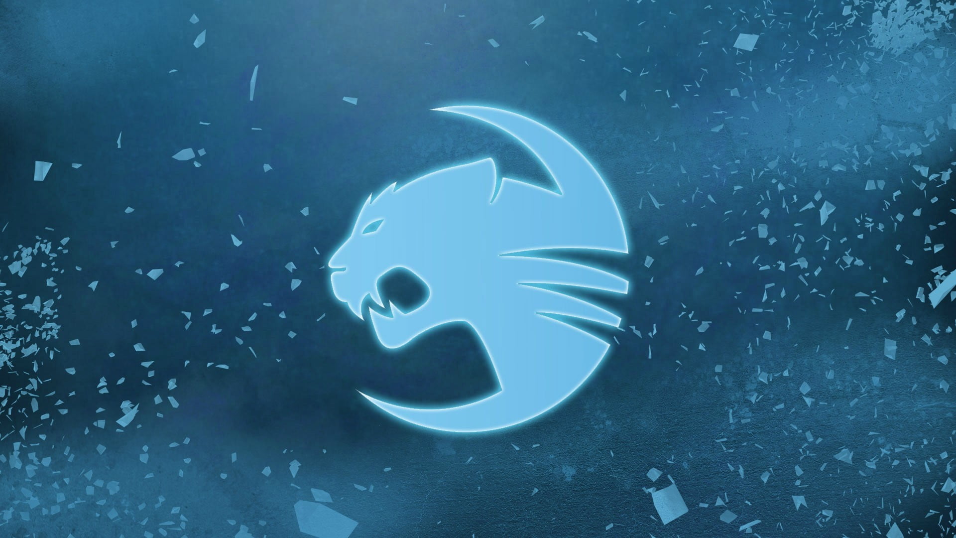League of Legends, large group of animals, school of fish, blue, undersea, animal, vertebrate, no people, water, animals in the wild, Roccat, group of animals, HD Wallpaper