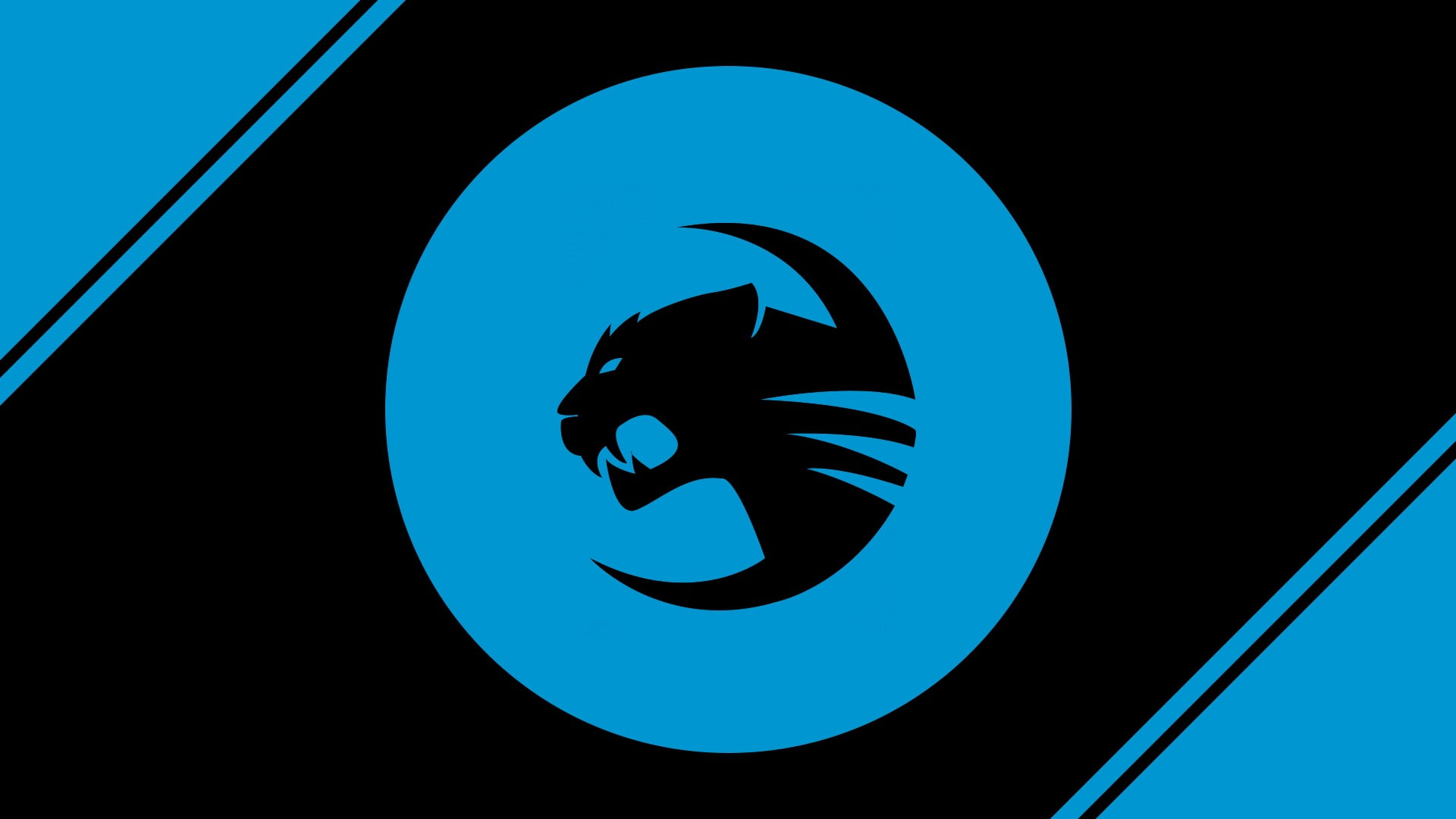 1080P, geometric shape, low angle view, animal wildlife, moon, animal representation, panther, art and craft, animal themes, roccat team, animal, vertebrate, HD Wallpaper