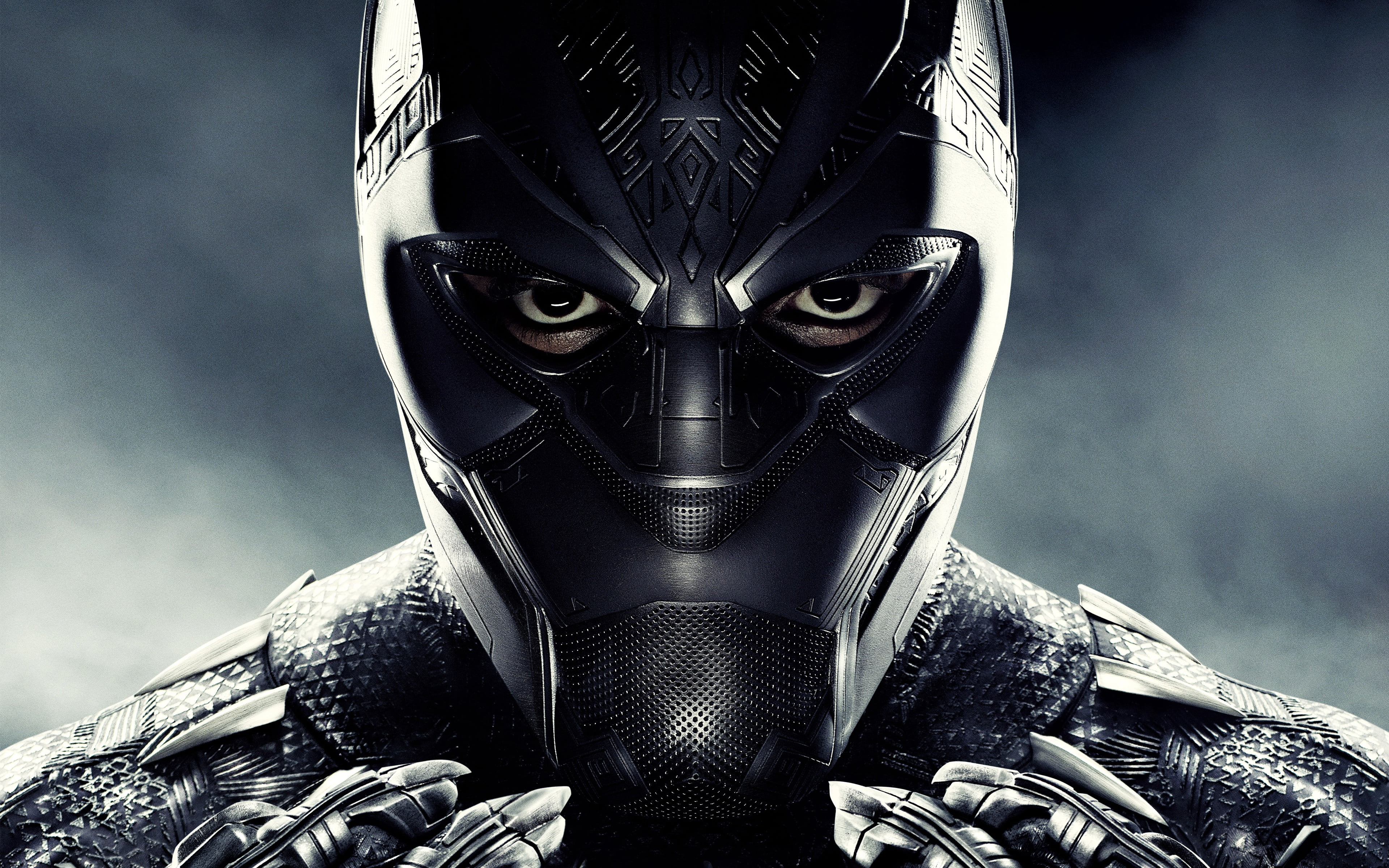 Black Panther, costume, mask, poster, MARVEL, comic, fiction, 4K, HD Wallpaper