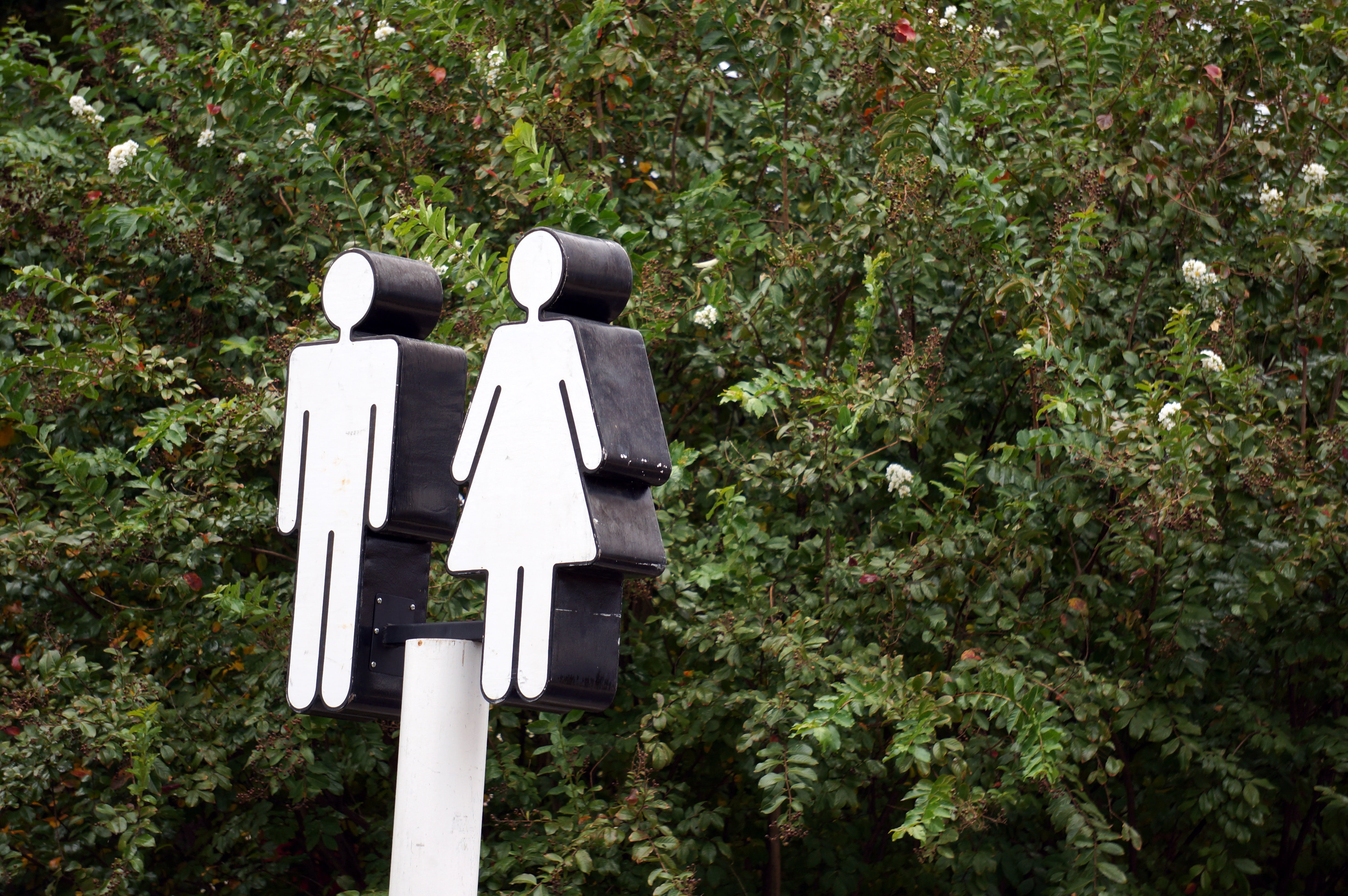 plant part, day, birdhouse, guidance, lavatory, outdoors, leaf, nature, bathroom, icon, trees, restroom sign, tree, representation, silhouette, women, street, HD Wallpaper