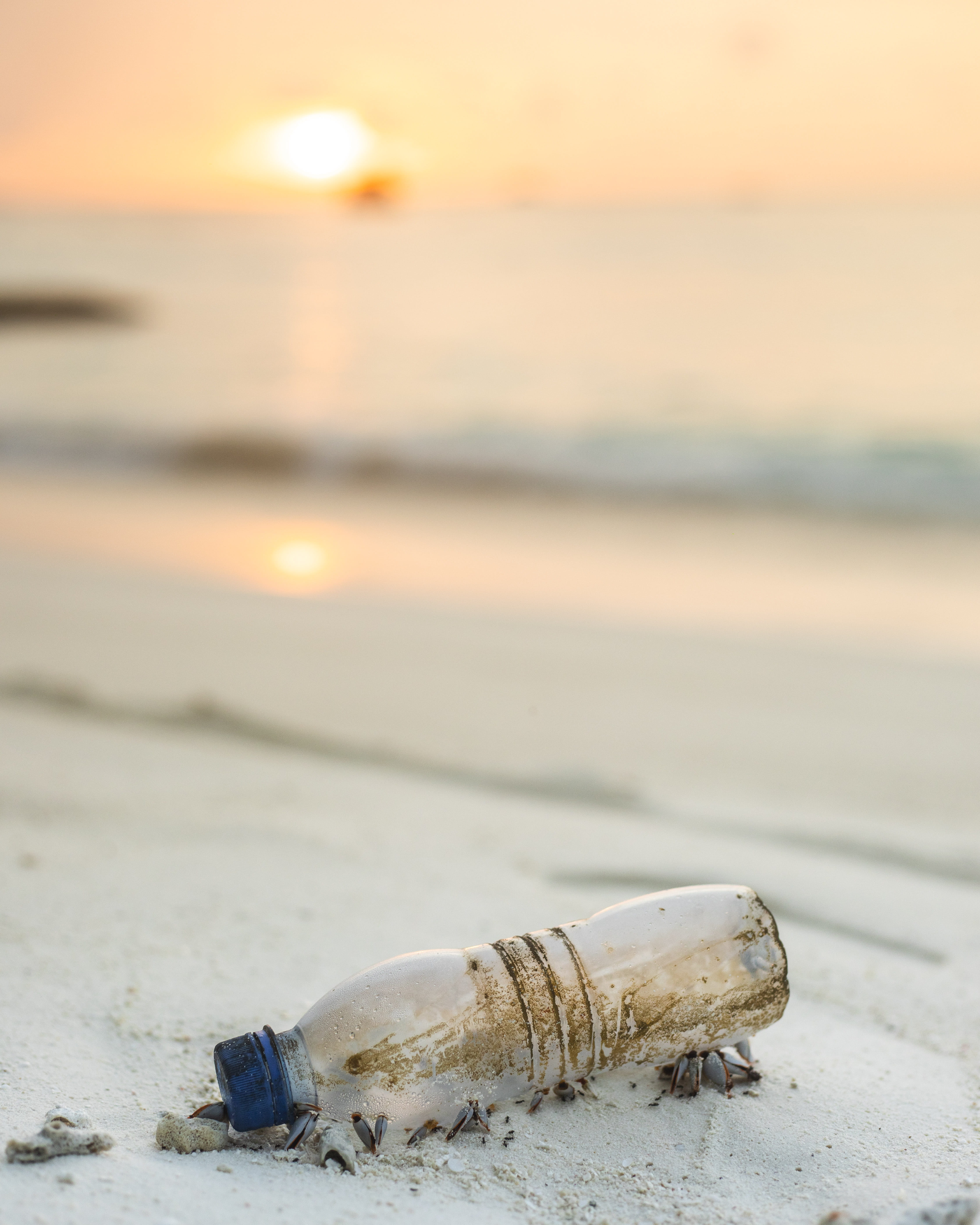 beach, sunset, bottle, message in a Bottle, ideas, shore, plastic, sun, concepts, horizon, coastline, sea, beside, bright, close-up, vacations, no People, Phone HD Wallpaper