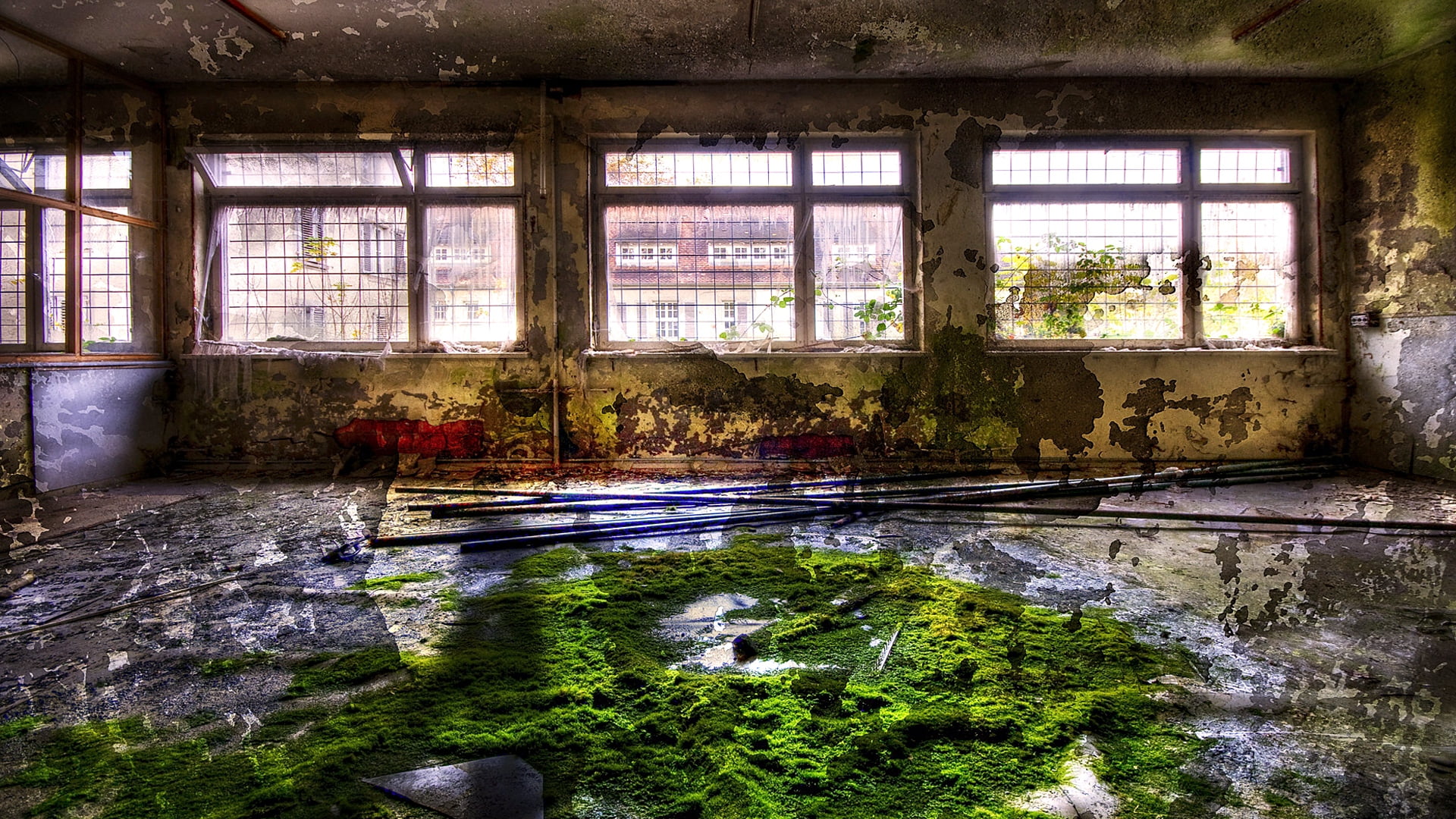inside Of, empty, construction Industry, windows, spooky, lake, deterioration, 1080P, rotting, moss, day, window, frame, three, messy, architecture, dirt, HD Wallpaper