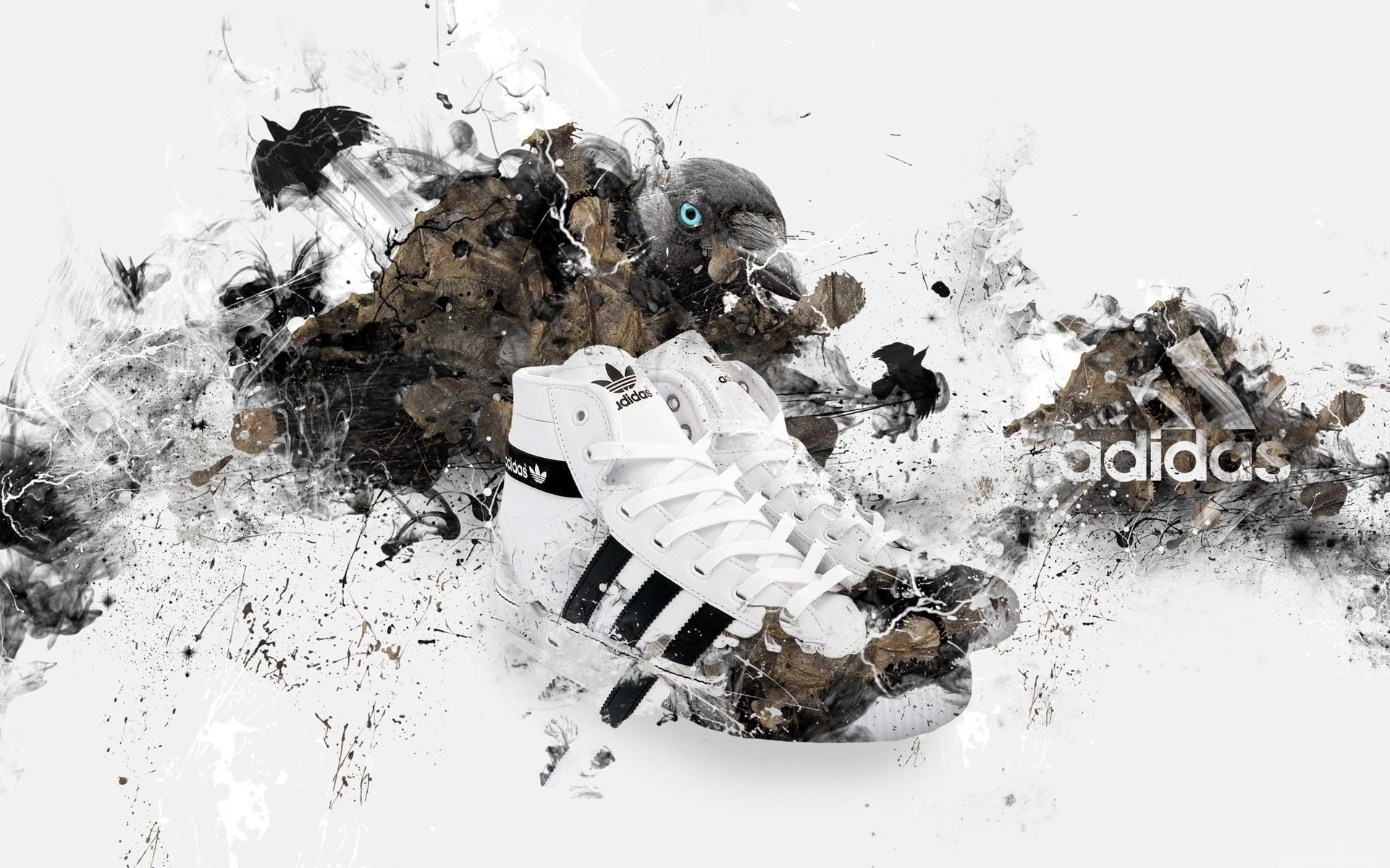 backgrounds, black, dirty, sneakers, white, black Color, 1080P, brown, high angle view, bird, cold temperature, brand, still life, heap, nature, pollution, HD Wallpaper