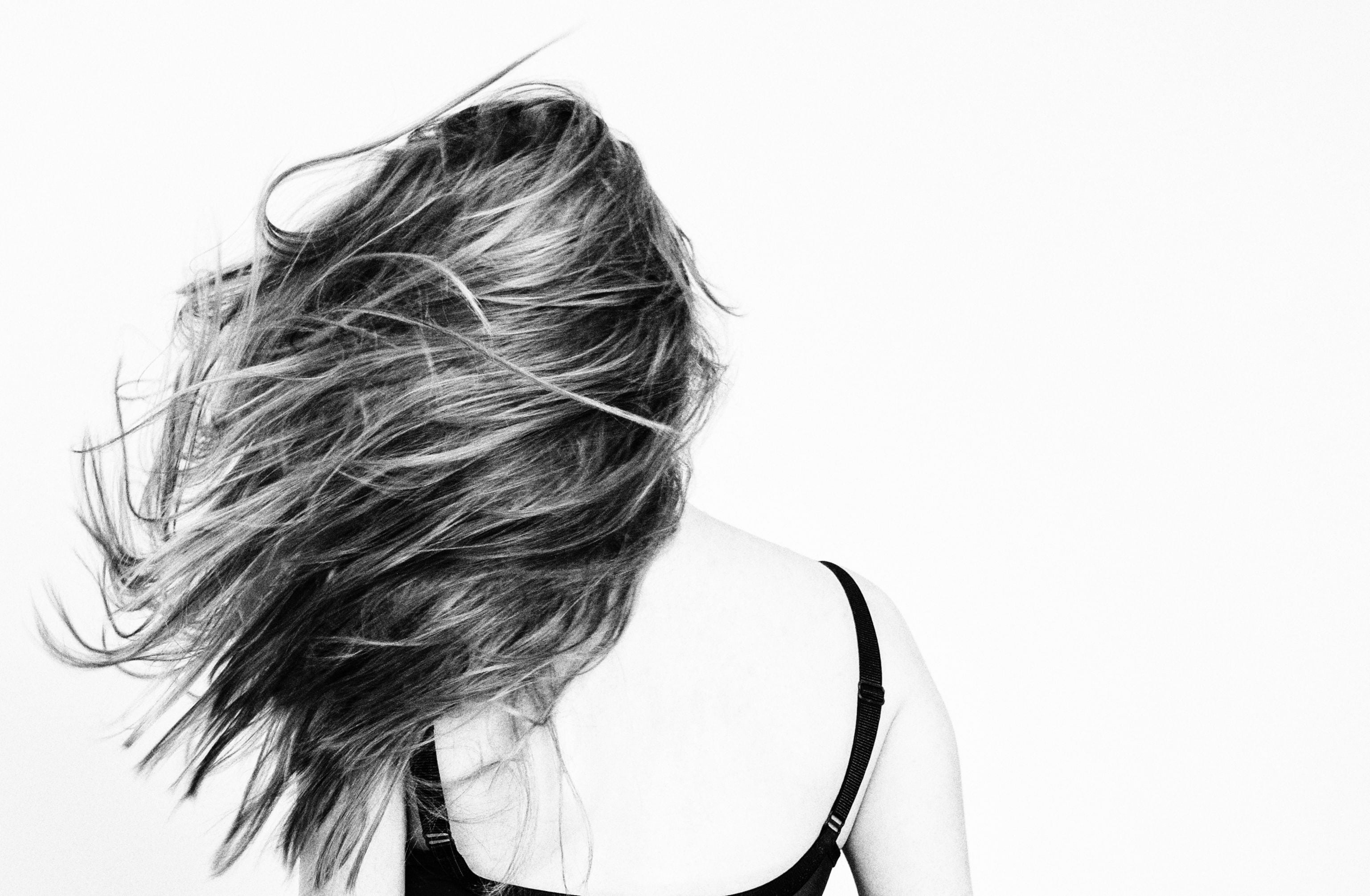 cut out, adult, close-up, young adult, copy space, hair flying, studio shot, white background, tousled hair, headshot, human hair, grayscale, windswept hair, HD Wallpaper