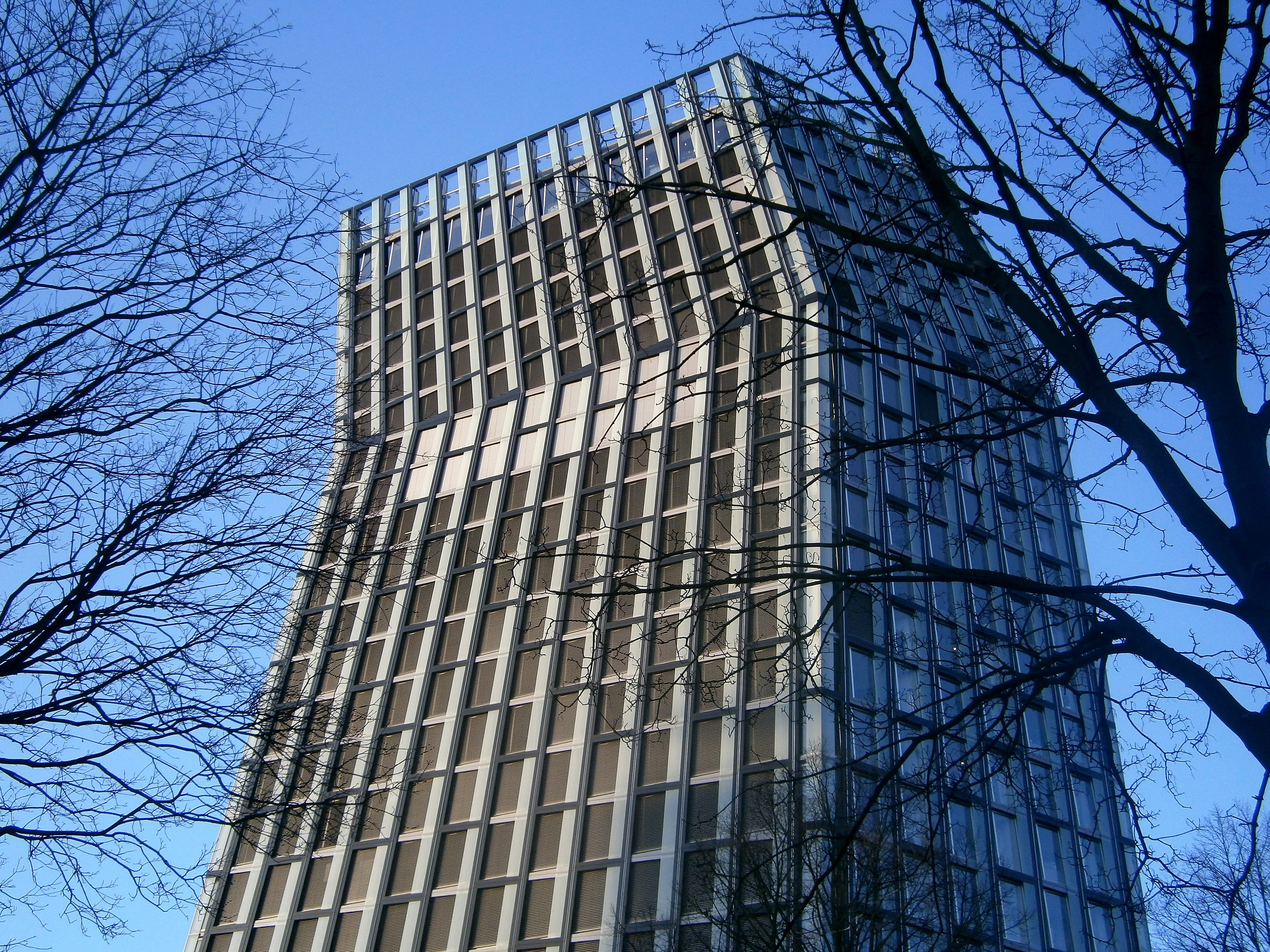 dancing towers, no people, outdoors, low angle view, geometric, 4K, exceptional, structures, branch, real estate, skyscraper, plant, tree, city, building, HD Wallpaper