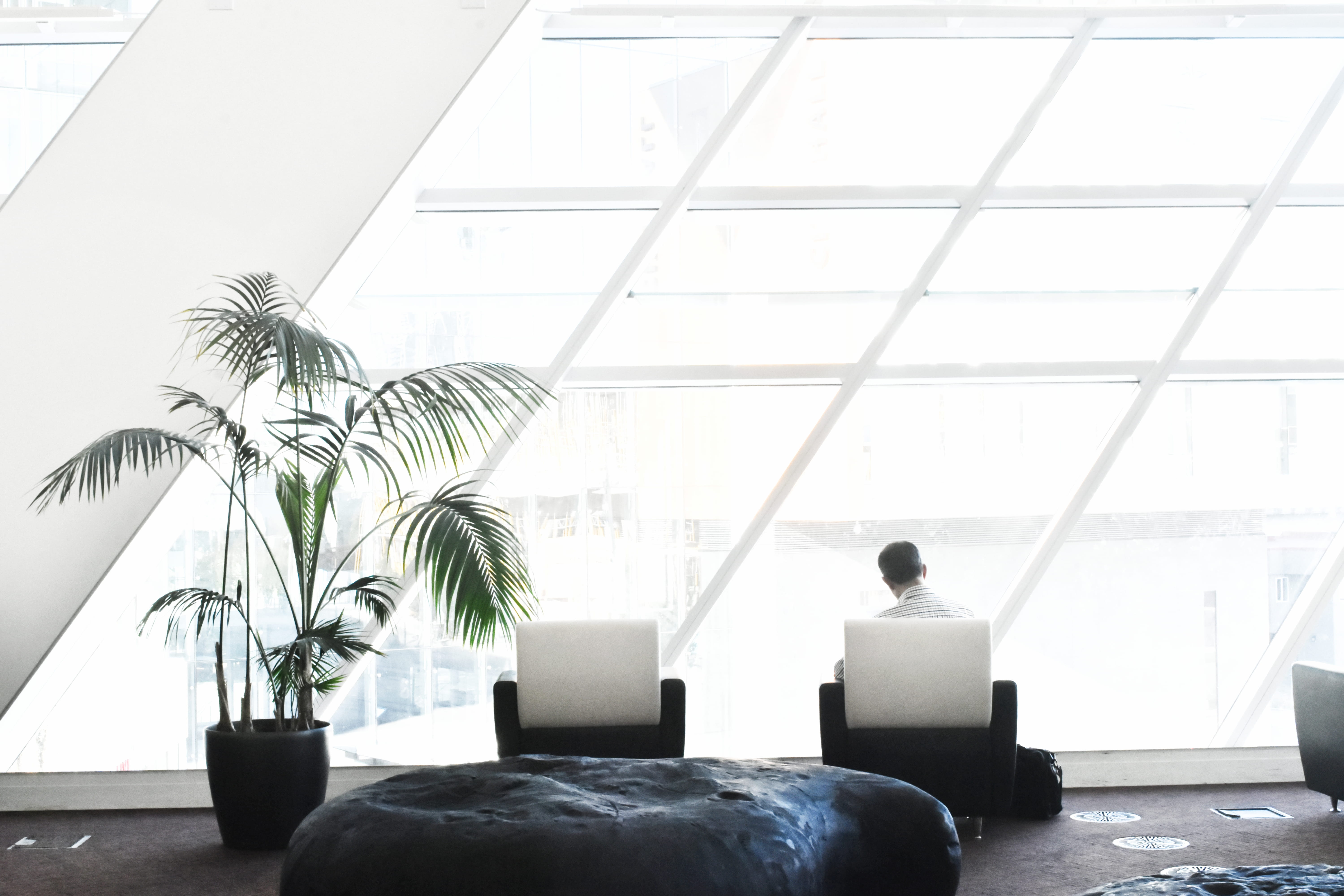 contemporary, modern, window, 5K, interior design, sofa, chair, tube, technology, office, furniture, growth, houseplant, room, day, potted plant, table, HD Wallpaper