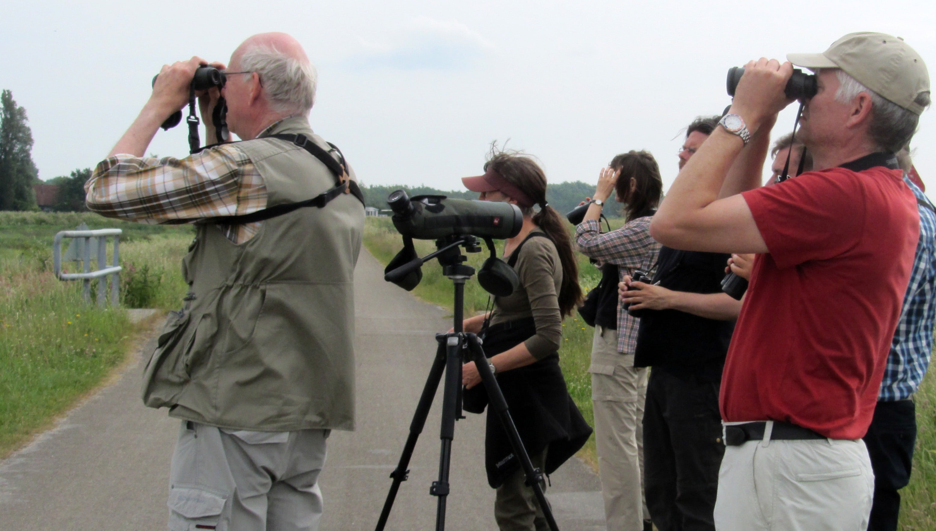 home video camera, watch, filming, spotting, men, dyke, photographing, tripod, looking through an object, 2K, people, communication, holding, bird watchers, HD Wallpaper