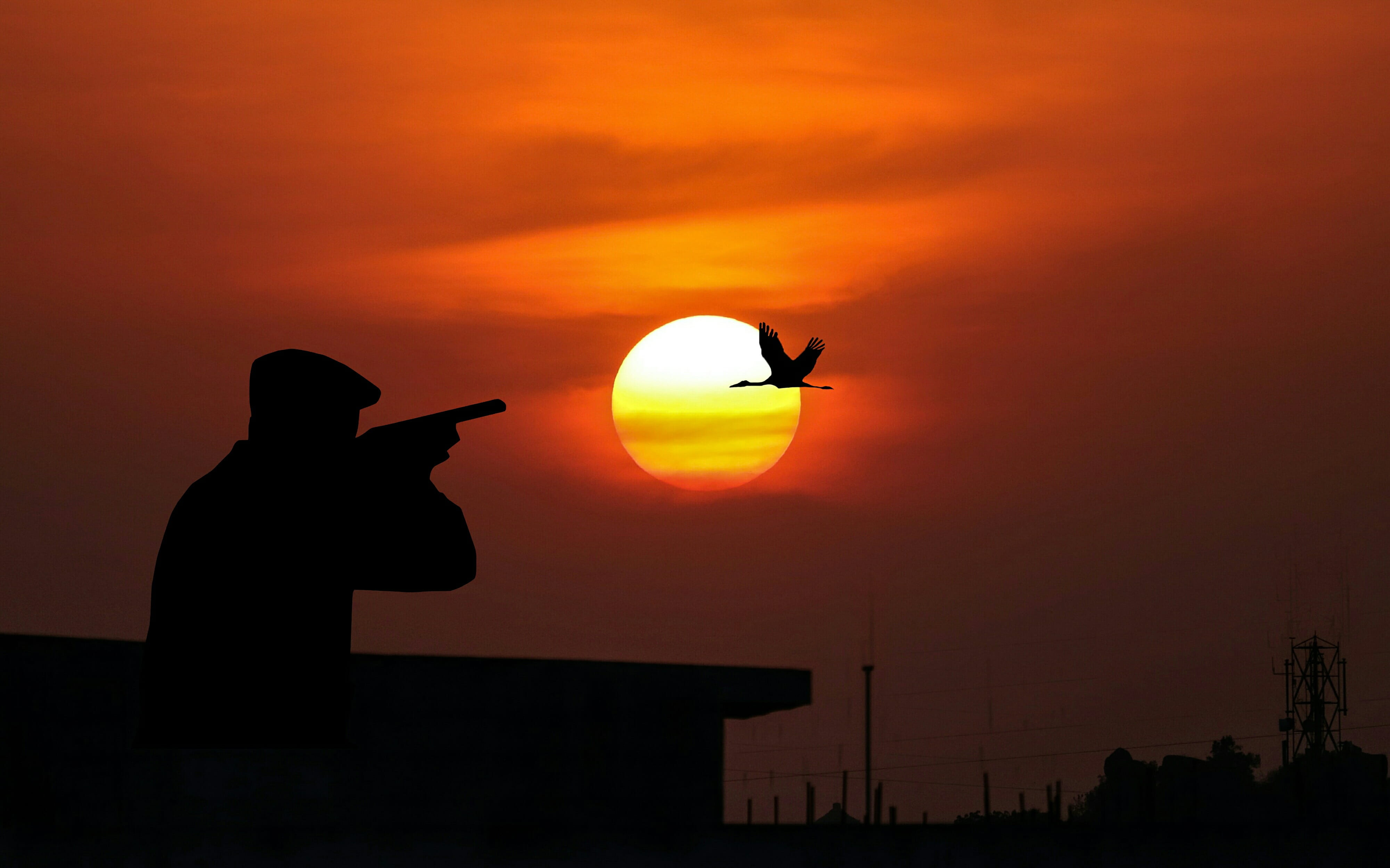 gun, bird, cloud - sky, outdoors, leisure activity, 4K, real people, hunting, standing, one person, holding, handgun, sport, shotgun, rifle, nature, scenics - nature, HD Wallpaper