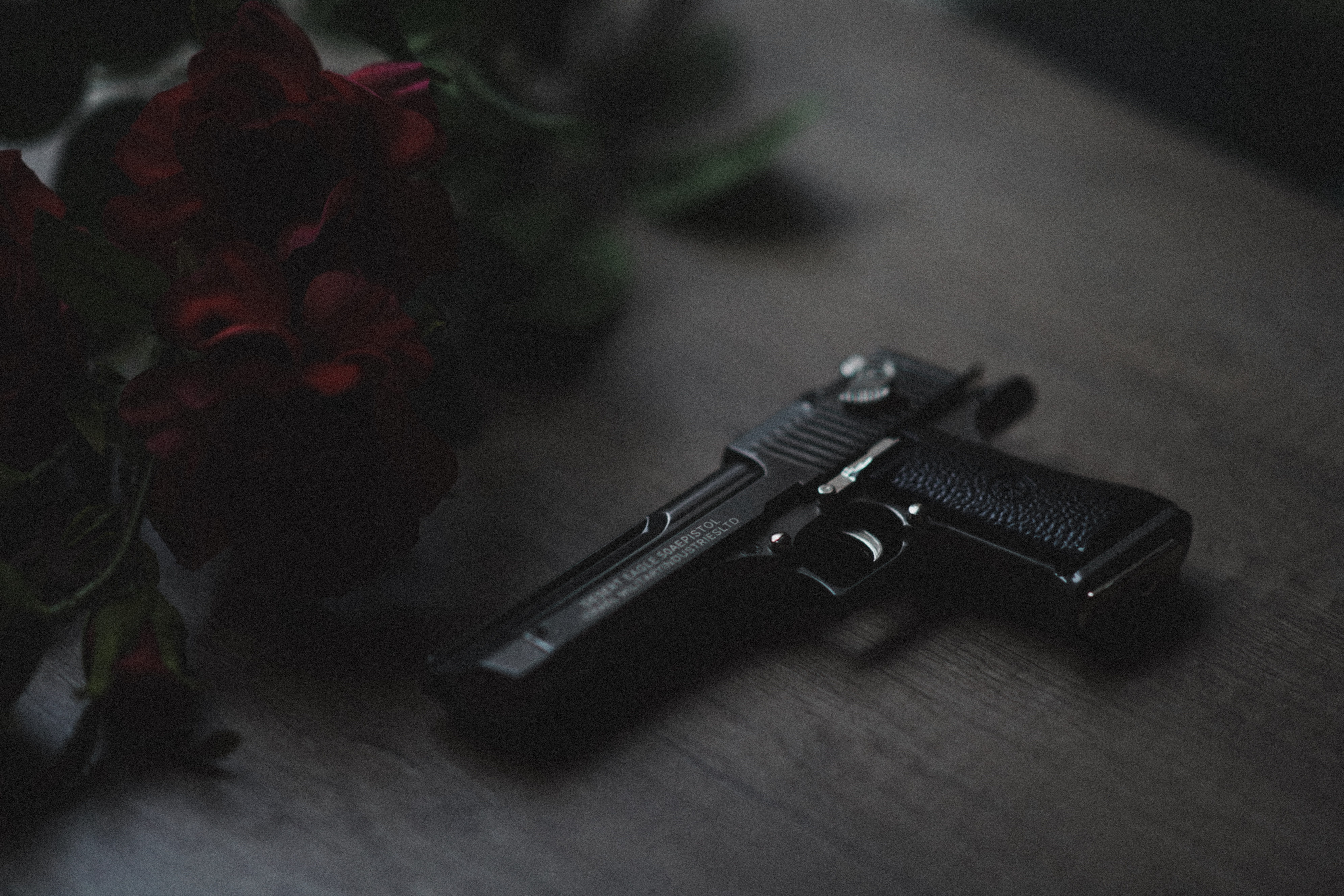 bullet, animal, social issues, aggression, shutter, bouquet, flower, selective focus, lighter, still life, communication, stain, cocker spaniel, light, HD Wallpaper