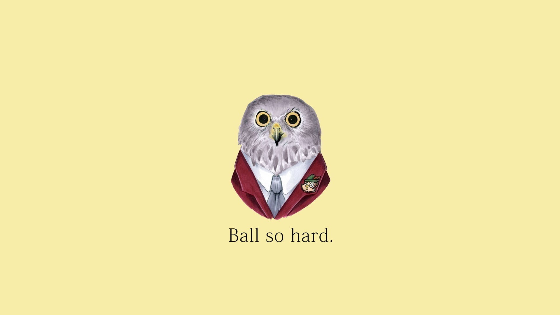 owl, quote, 1080P, Kanye West, HD Wallpaper