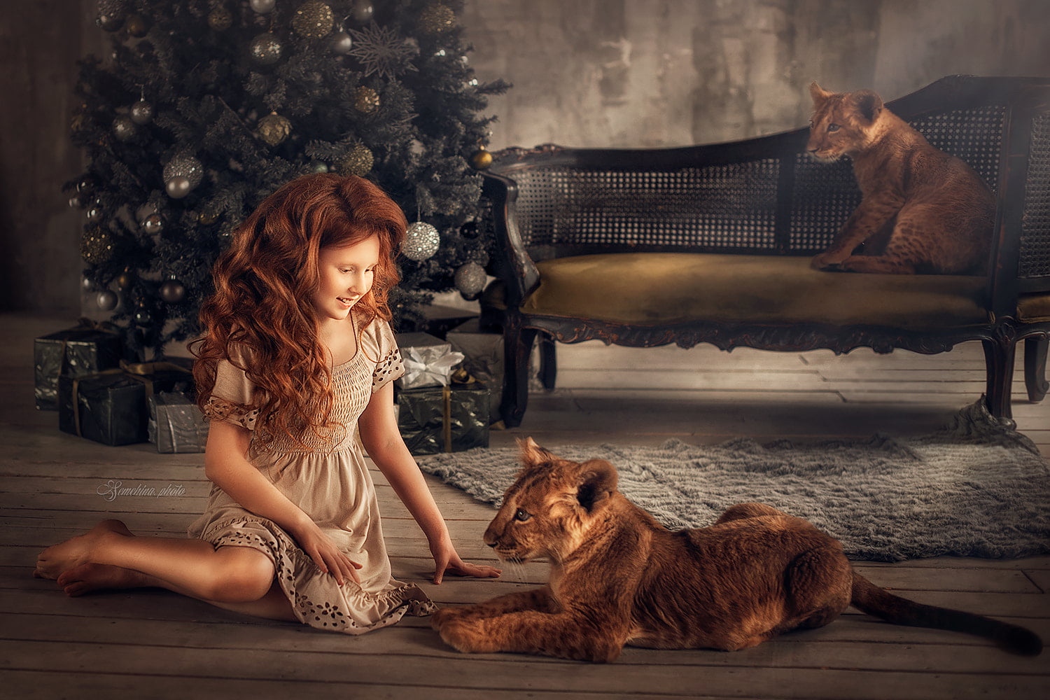 domestic cat, 500px, Christmas, hair, young adult, domestic animals, canine, one person, vertebrate, real people, mammal, animals, one animal, dog, barefoot, HD Wallpaper