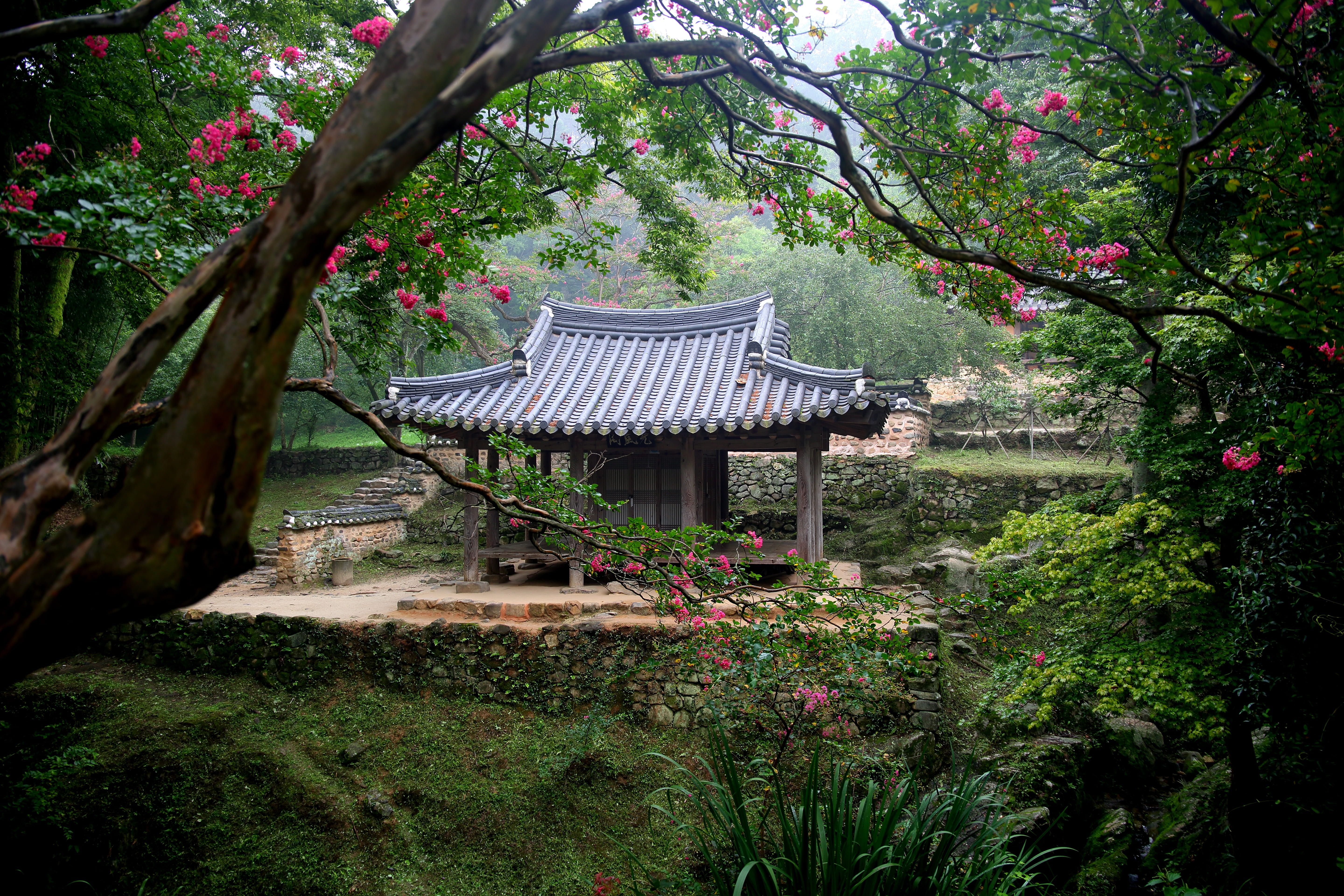 religion, traditional, tree, flower, 5K, growth, place of worship, a small iron garden, lagerstroemia indica, green, surrounded, republic of korea, building exterior, HD Wallpaper