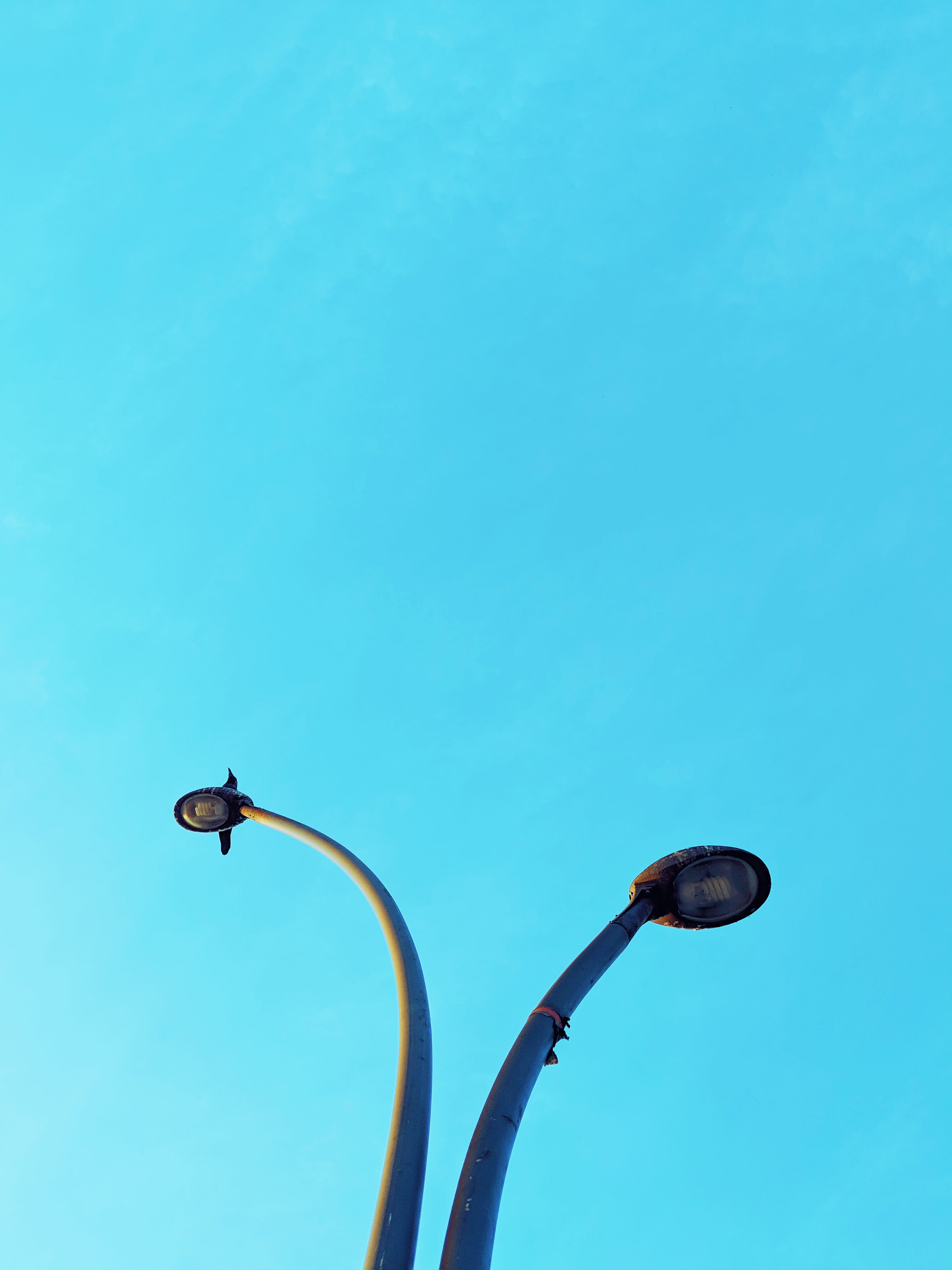 technology, flying, accipiter, rope, blue, electricity, azure sky, theme park, lampshade, hoop, roller coaster, sky, amusement park, low angle view, perching, Phone HD Wallpaper