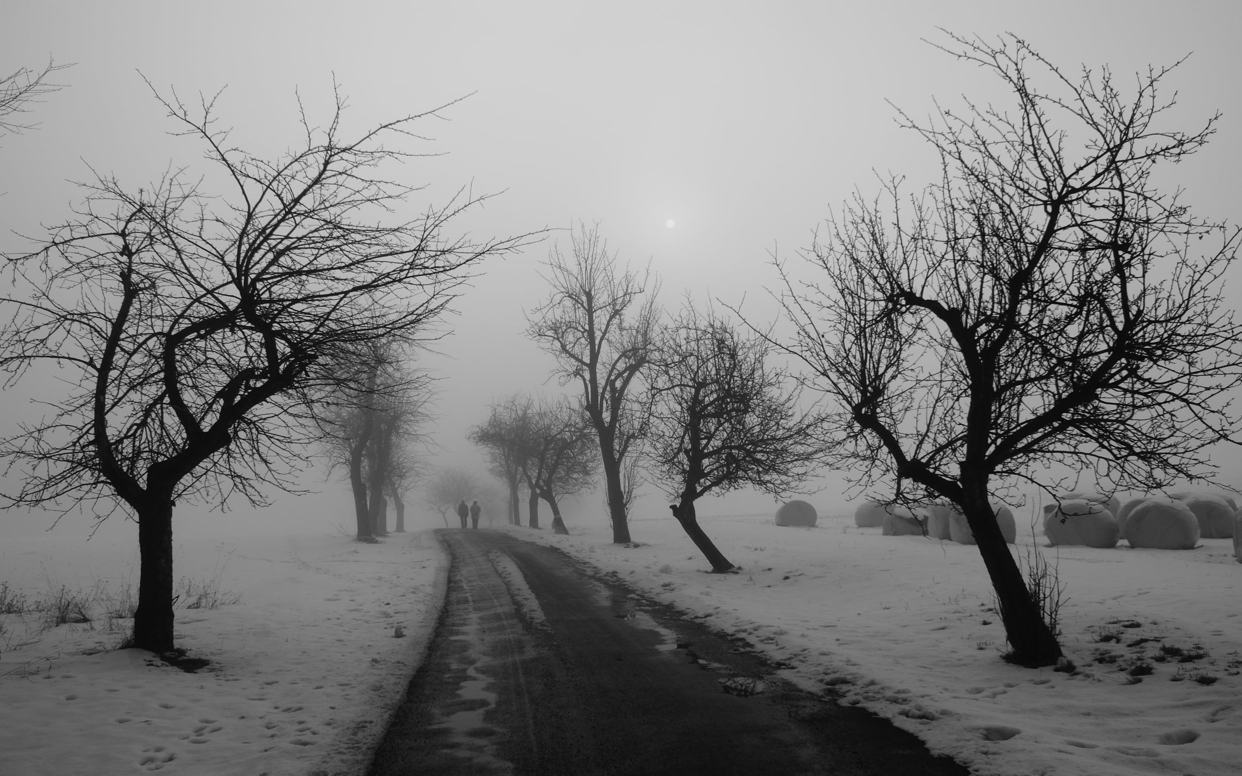 tranquil Scene, 2K, light - Natural Phenomenon, season, black, weather, treelined, beauty In Nature, winter, sky, diminishing perspective, no People, scenics - nature, HD Wallpaper