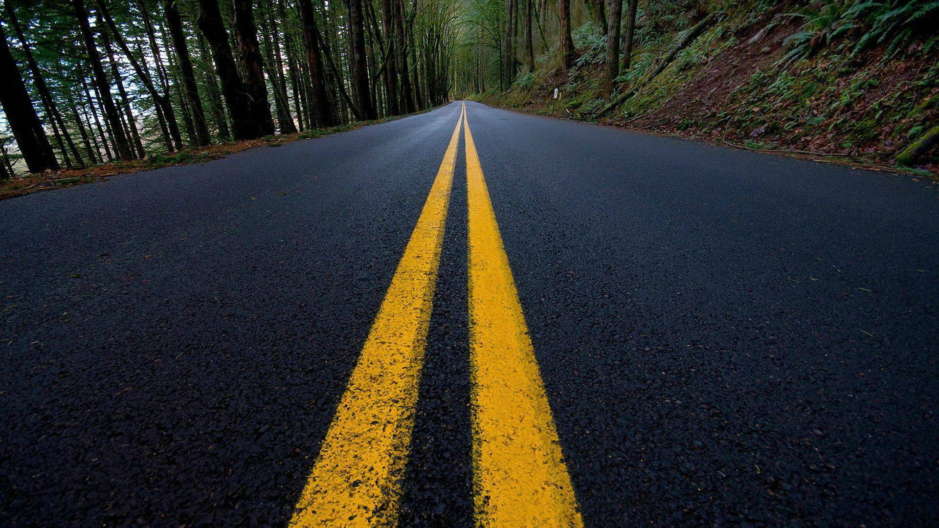 field, direction, sign, traffic, grass, empty road, symbol, road, 1080P, yellow, plant, asphalt, path, street, nature, surface level, vanishing point, HD Wallpaper