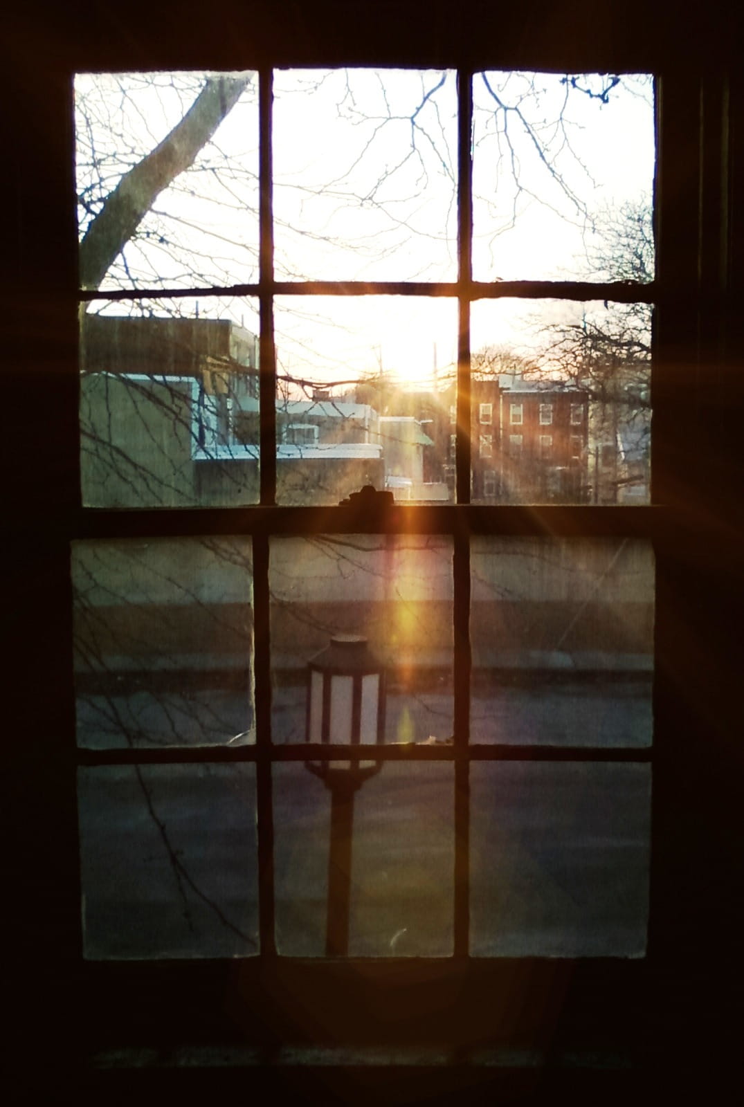 looking, tree, Lantern, sky, Sunset, Window, glass - Material, house, interior, looking Through Window, indoors, sun, 720P, transparent, transportation, Phone HD Wallpaper