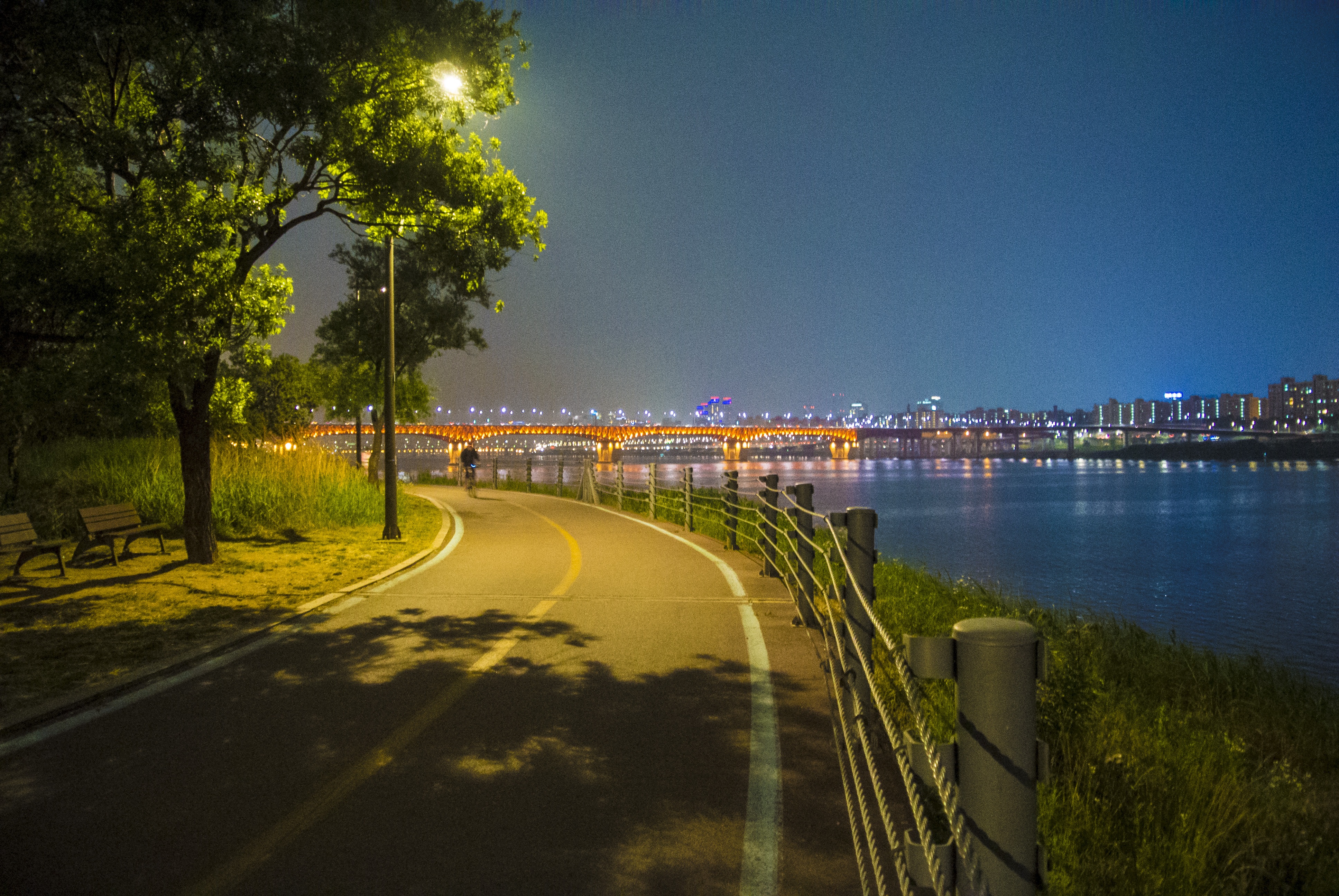 bike, built structure, architecture, clear sky, water, near, time, republic of korea, person, street, transportation, city, tree, illuminated, road, walking, HD Wallpaper