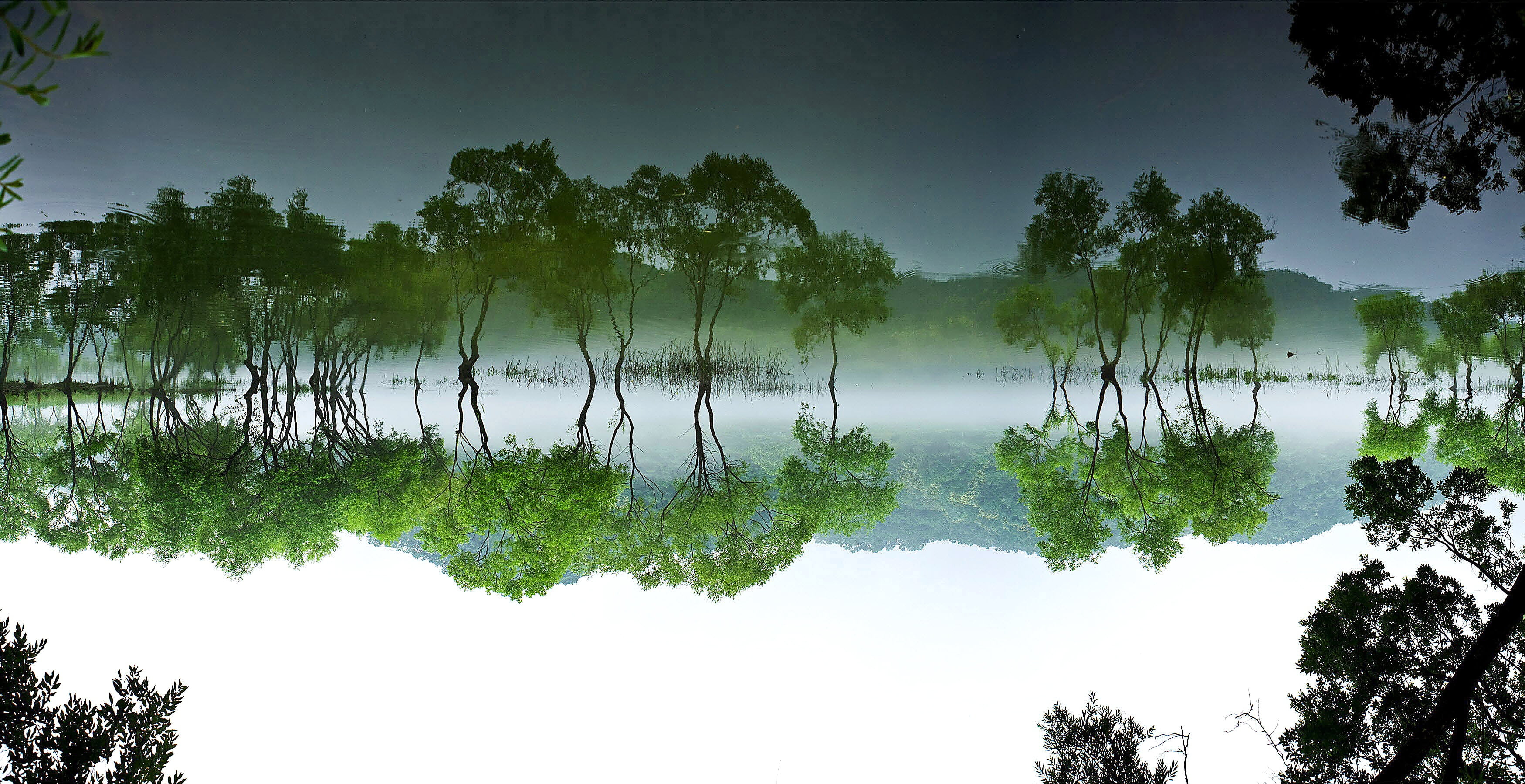 landscape, the leaves, green, bathing, environment, reflection lake, view, water, tranquility, travel, scenery, 2K, rainforest, nature, scenics - nature, HD Wallpaper