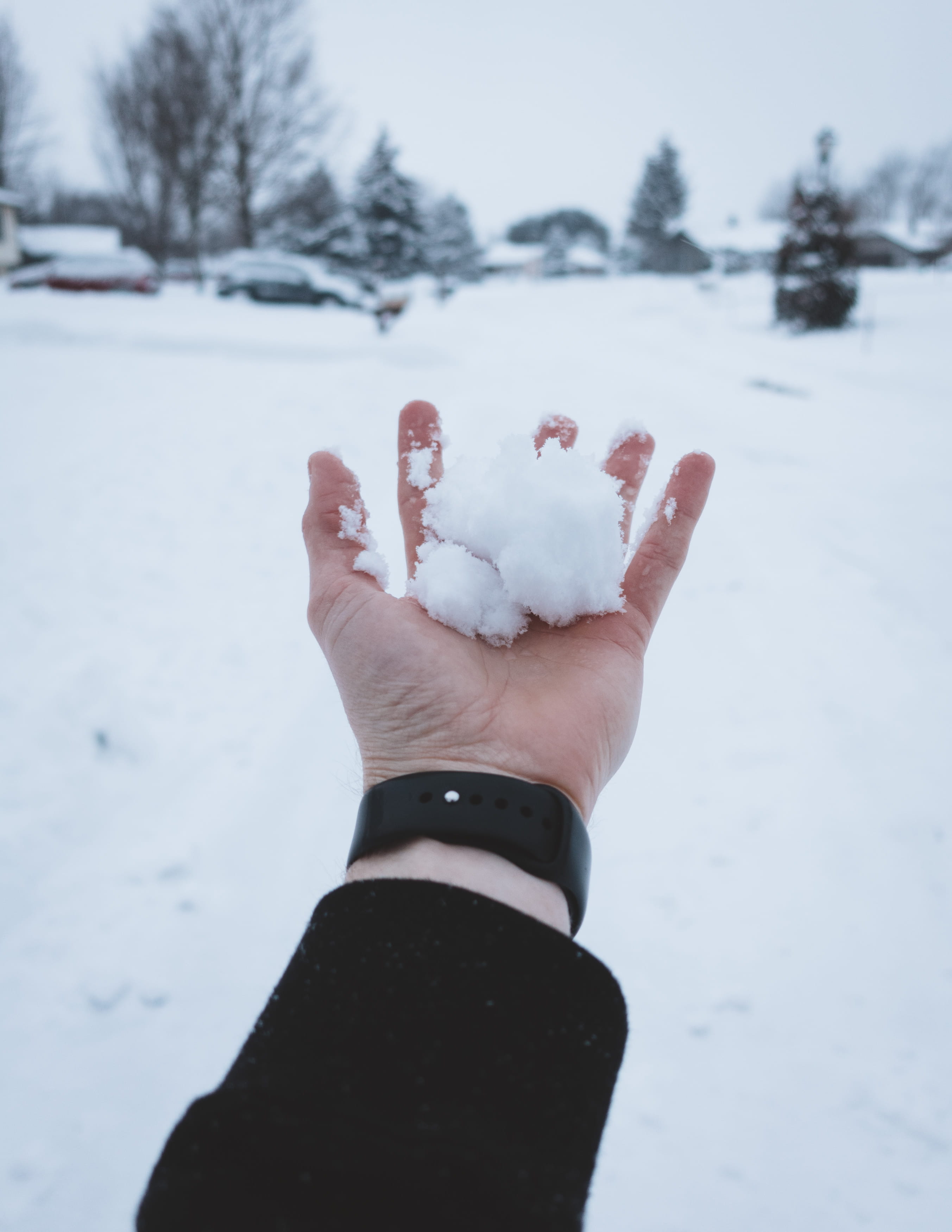 white color, male, human hand, cold temperature, nature, united states, 2018, one person, usa, perry, warm clothing, unrecognizable person, guy, blue, apple watch, Phone HD Wallpaper