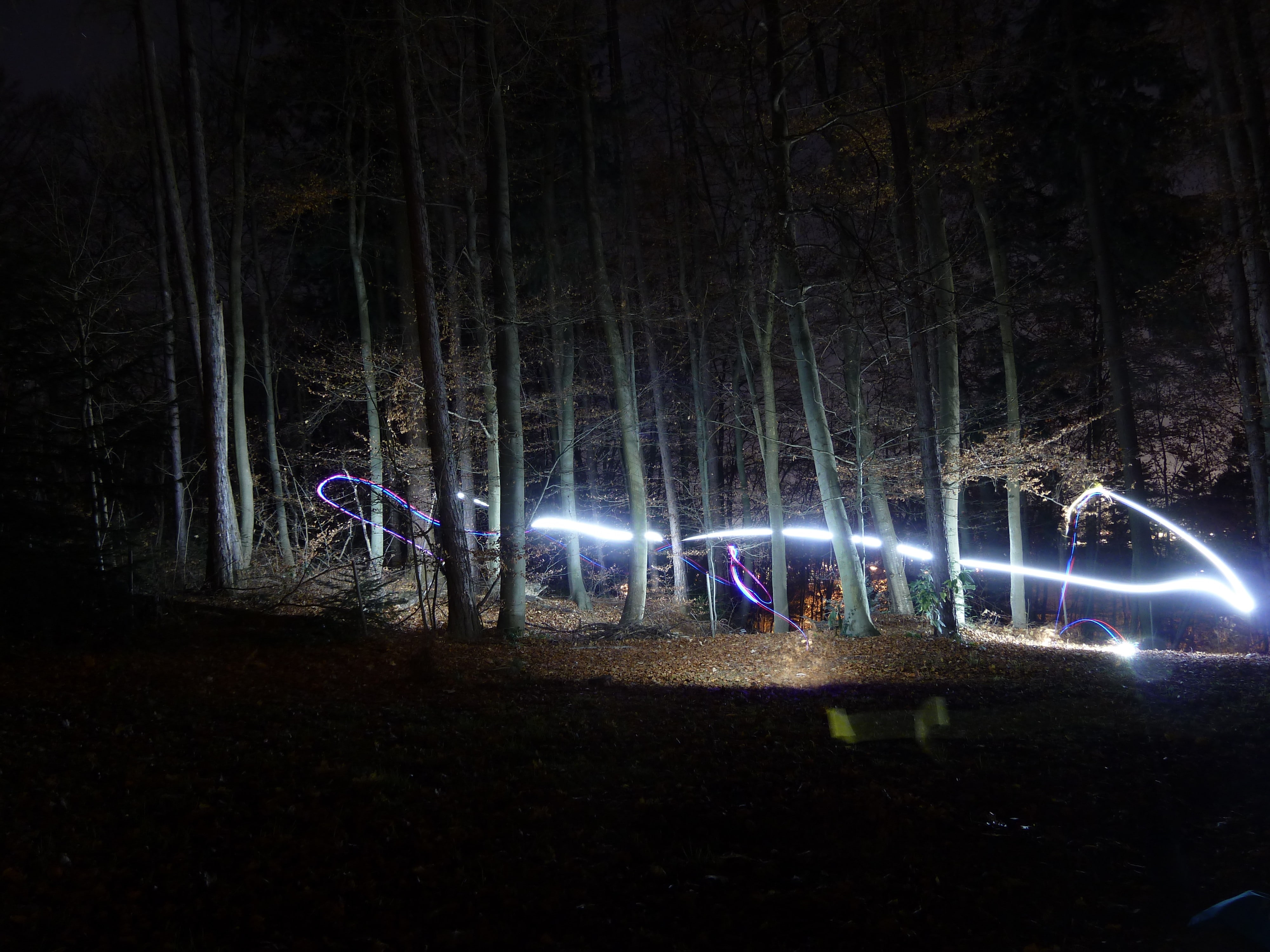 real people, stage, light, lighting equipment, night, land, group of people, 4K, arts culture and entertainment, glowing, light painting, forest, dark, HD Wallpaper