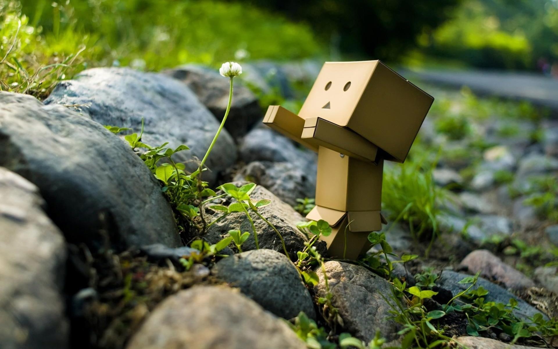 robot, cute, flower, 3d and abstract, green, stones, grass, nature, stone, 1080P, HD Wallpaper