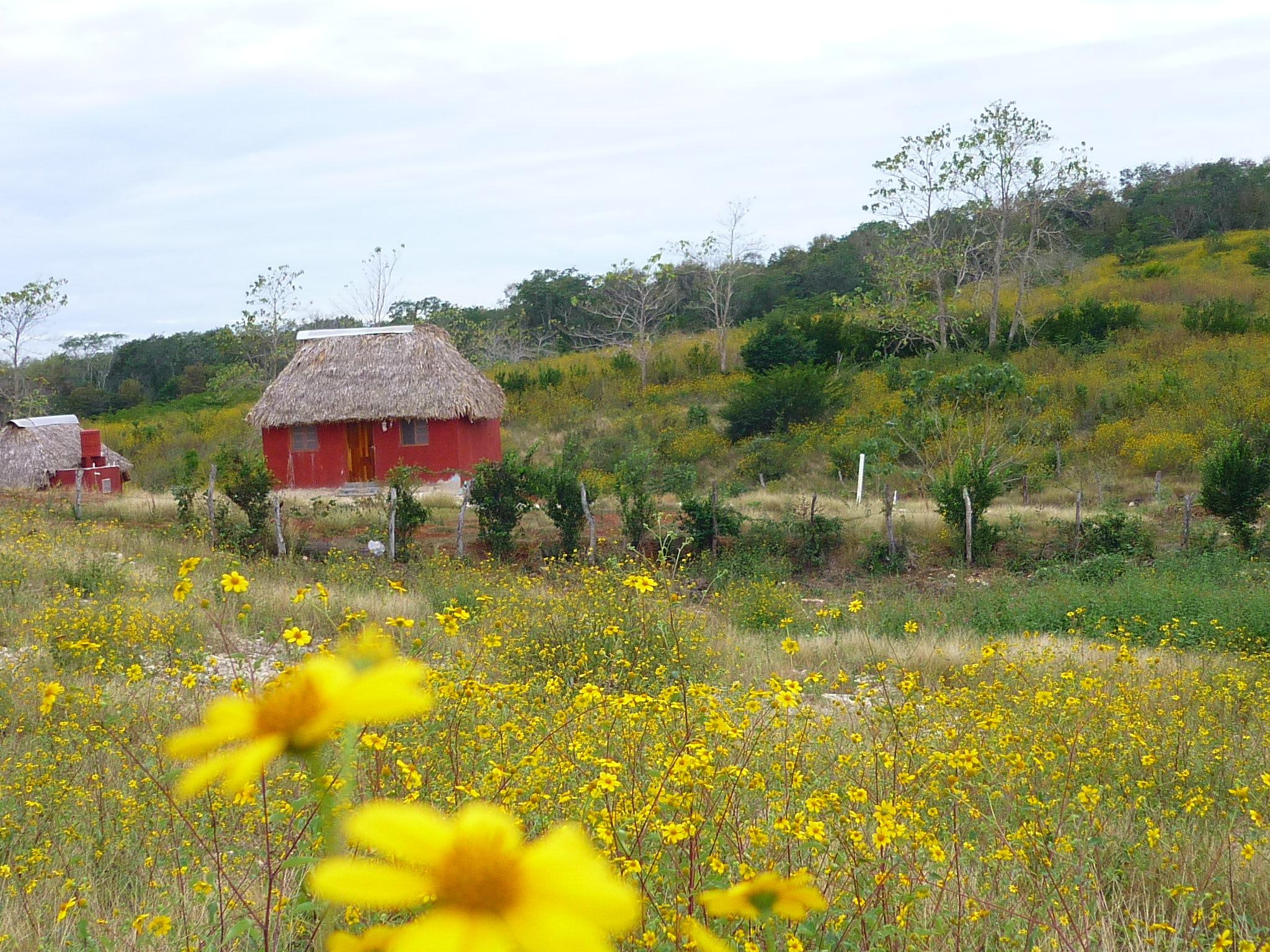 reyescarrion, edzna, caba, cabin, empresas camara, 1080P, ecoturistica, san pedro, turismo vive la aventura, uxulkah, hospedaje, HD Wallpaper