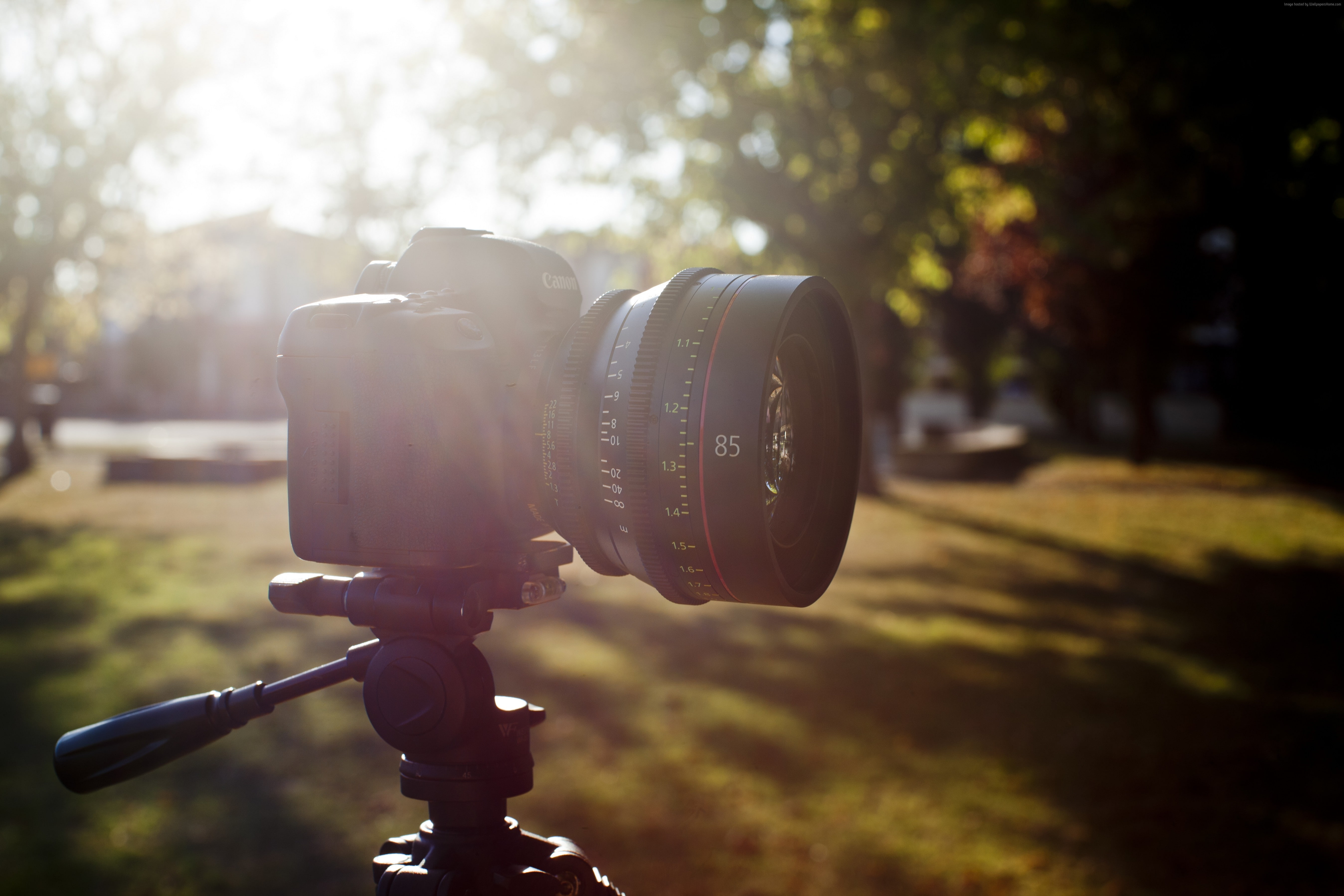 plant, digital camera, tree, outdoors, camera, 5K, park - man made space, sunlight, photographic equipment, park, 4K, review, photo, day, nature, technology, HD Wallpaper