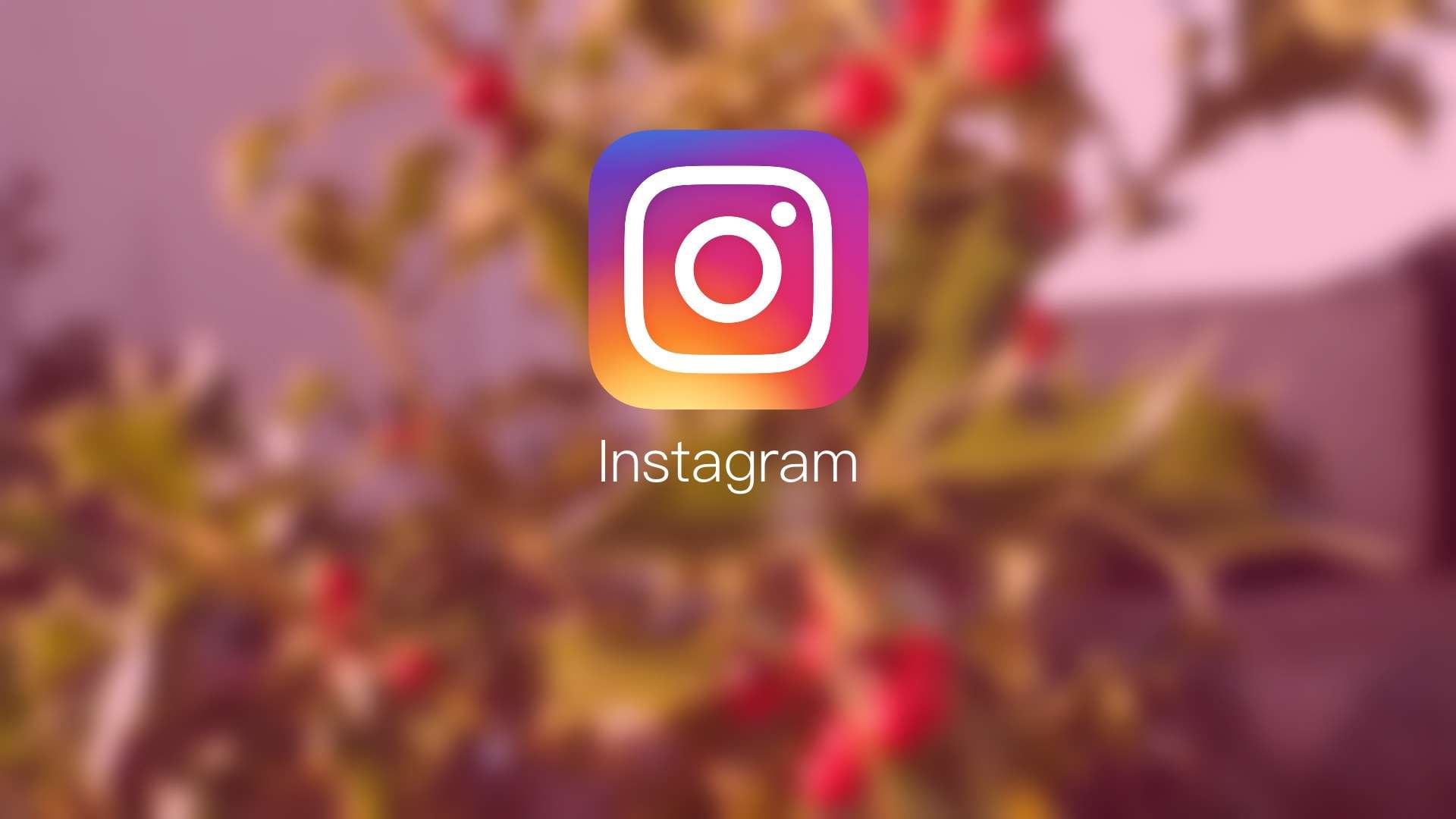 application, communication, no people, representation, food and drink, instagram, wireless technology, plant, technology, food, focus on foreground, convenience, HD Wallpaper