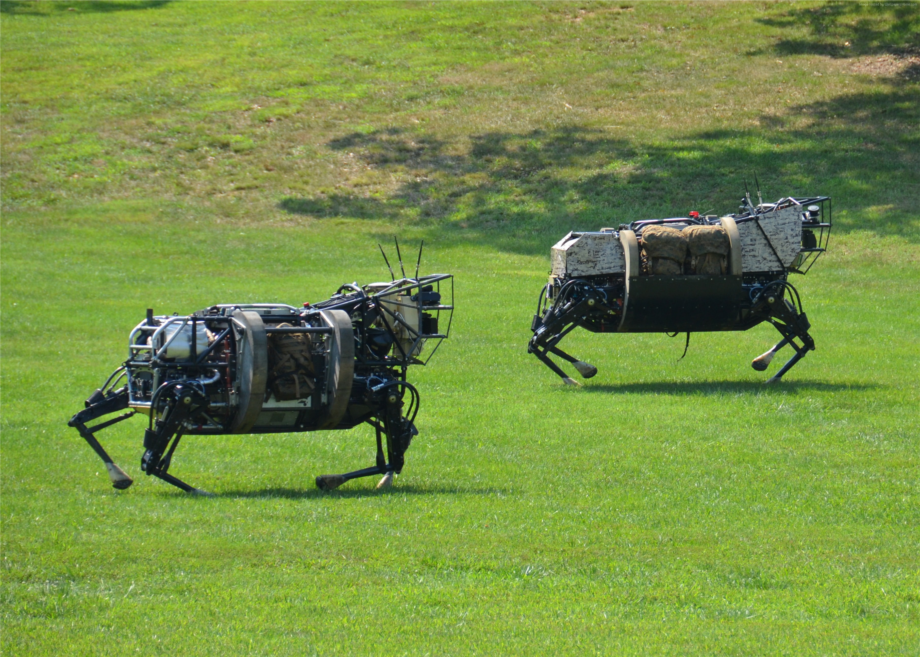 army, U.S. Army, LS3, patrol, robotic mule, Best Robots of 2015, Cujo, robot, test, 2K, HD Wallpaper