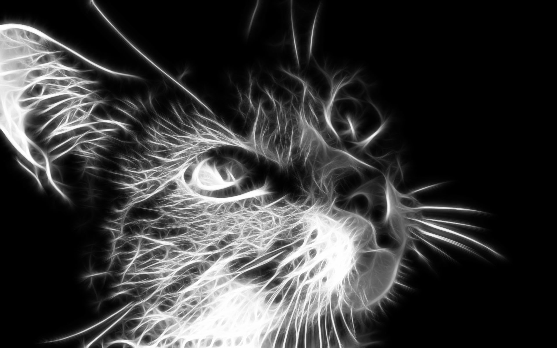 fear, close-up, body part, digital art, medical x-ray, cat, finger, monochrome, blurred motion, Fractalius, studio shot, adult, animals, black background, HD Wallpaper