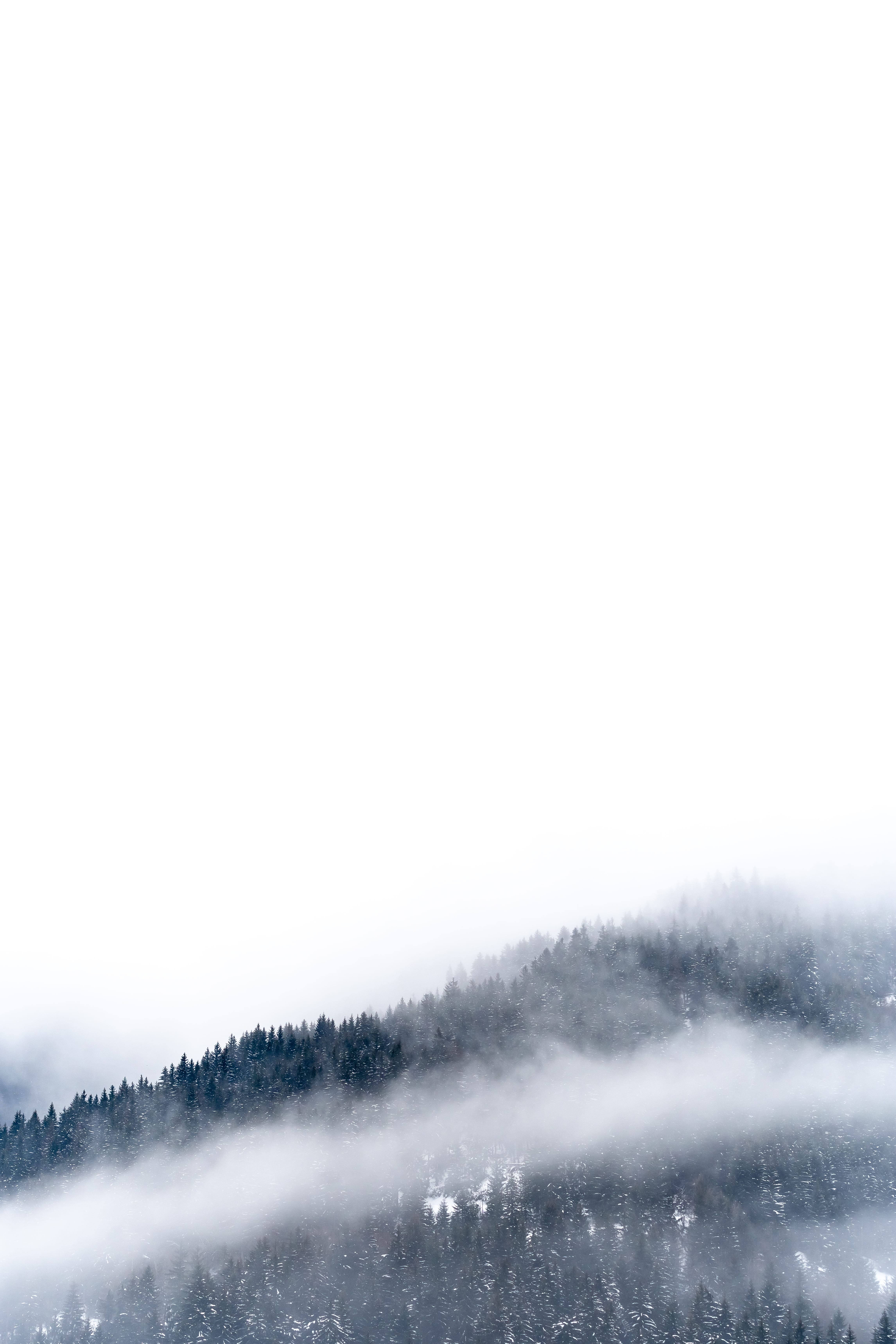 non-urban scene, viewpoint, trees, mountain, sky, hd, 5K, fir, power in nature, tranquil scene, tree, winter, outdoors, beautifullandscape, Phone HD Wallpaper