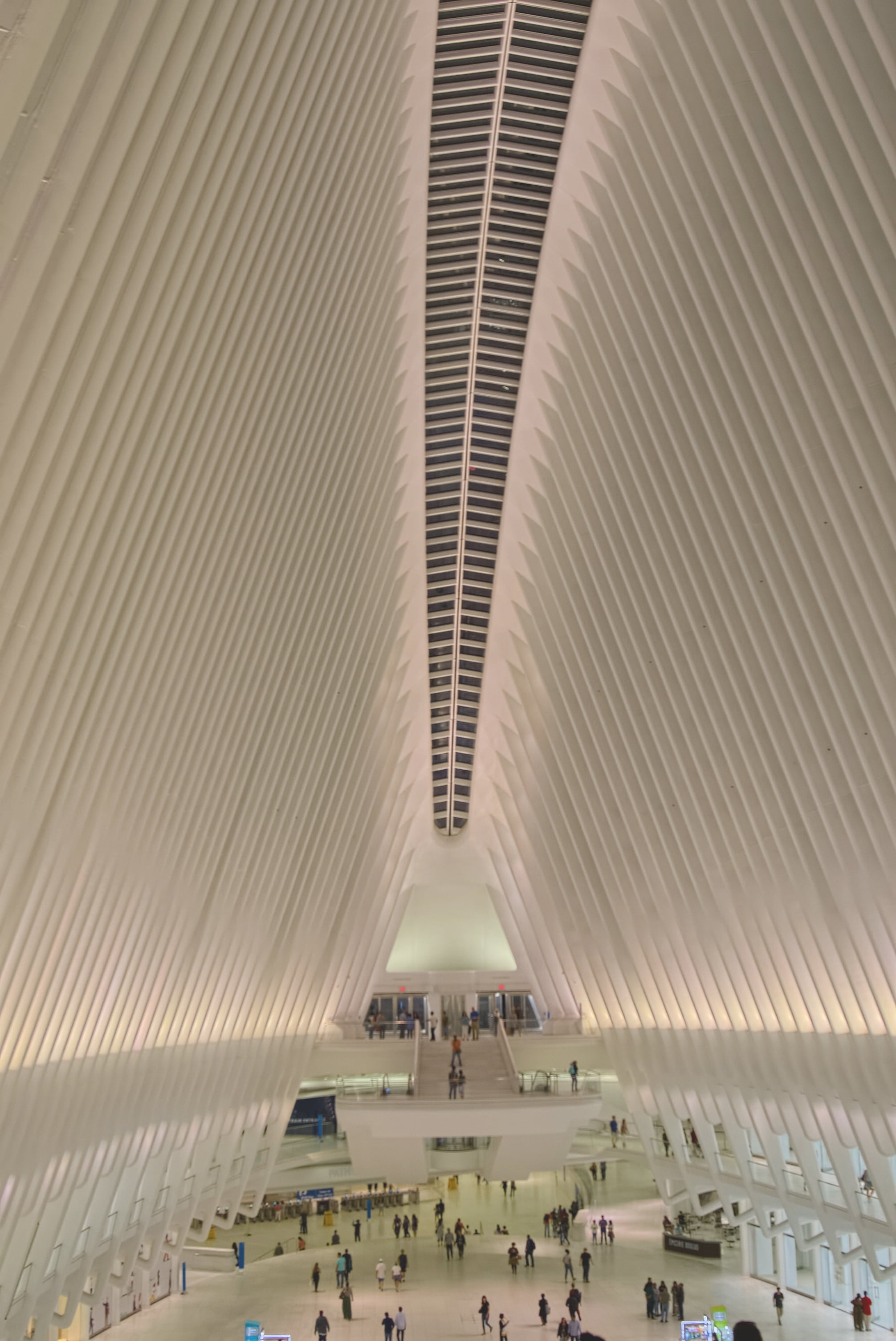 crowd, building exterior, building, leisure activity, women, manhattan, transit, station, high angle view, real people, architecture, new york city, group of people, Phone HD Wallpaper