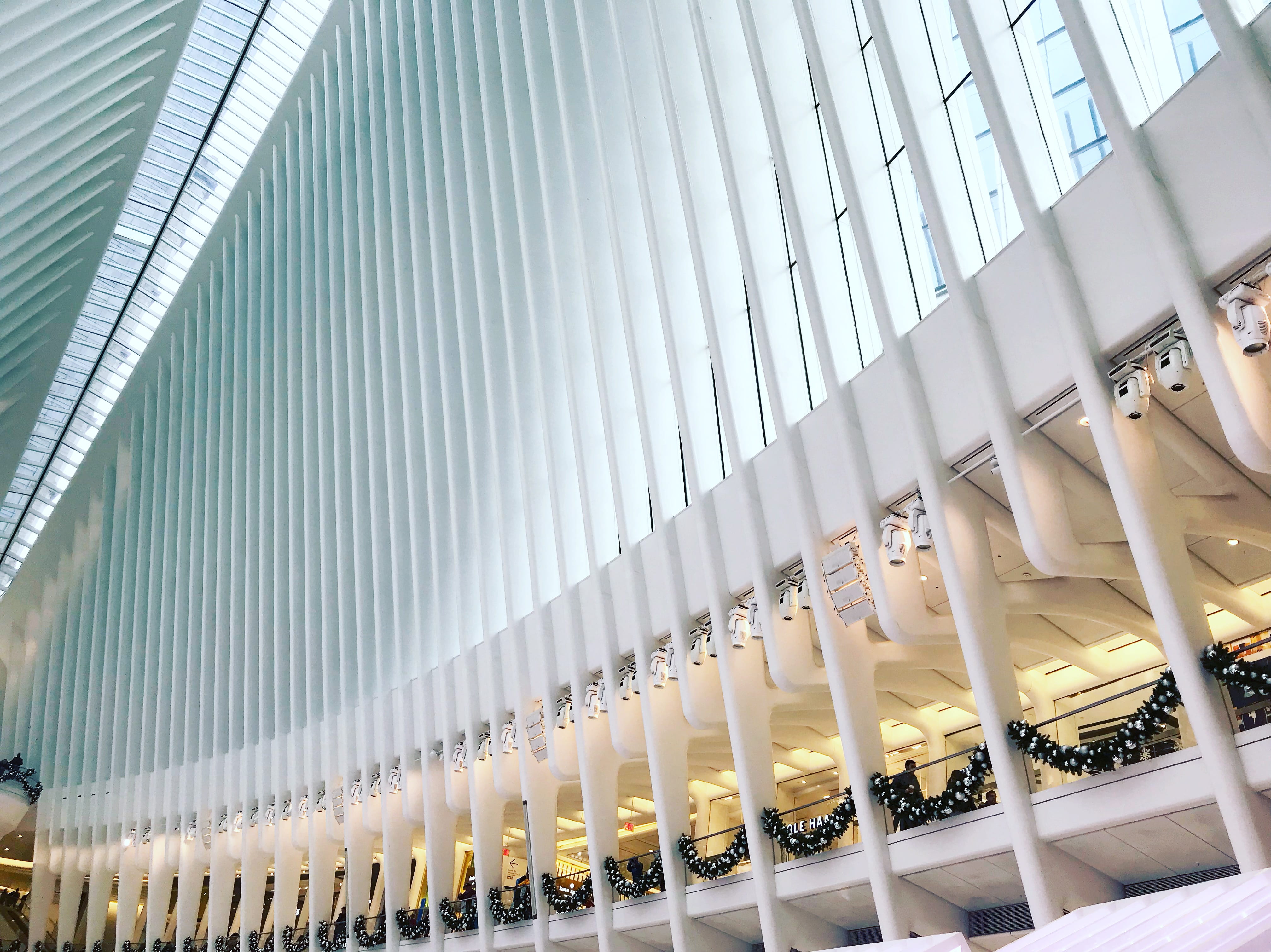 united states, indoors, no people, new york city, built structure, building, business, order, low angle view, arrangement, abundance, drink, modern, 4K, HD Wallpaper
